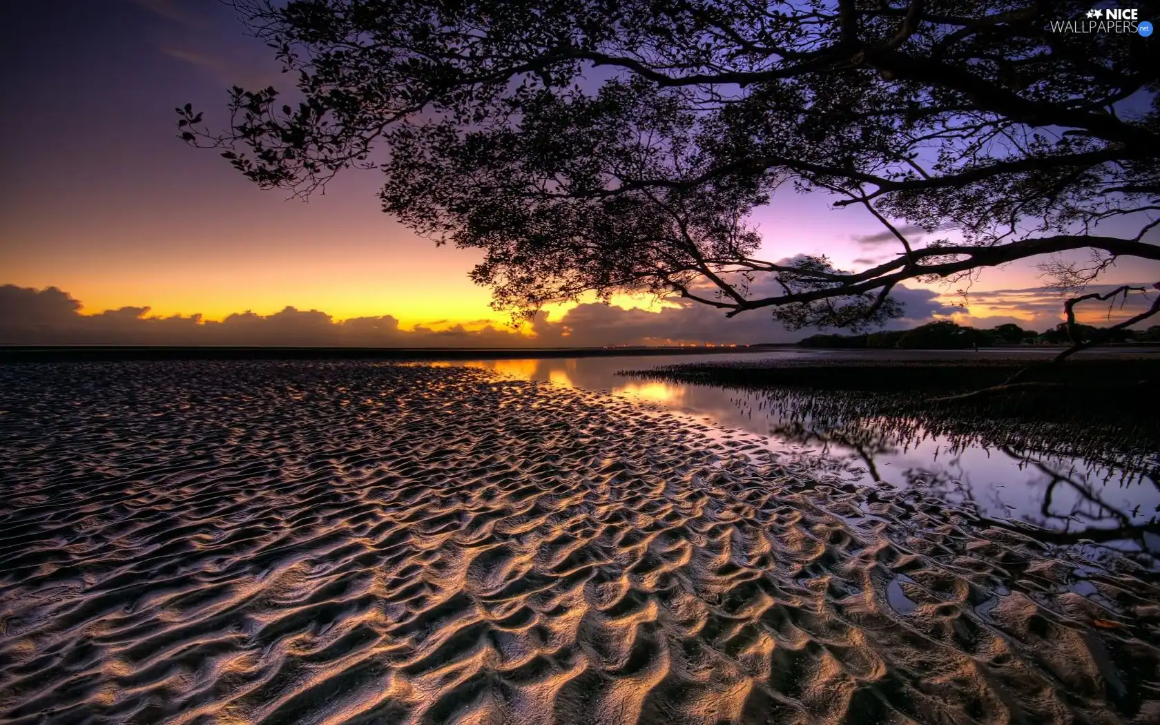 Sand, sun, trees, west