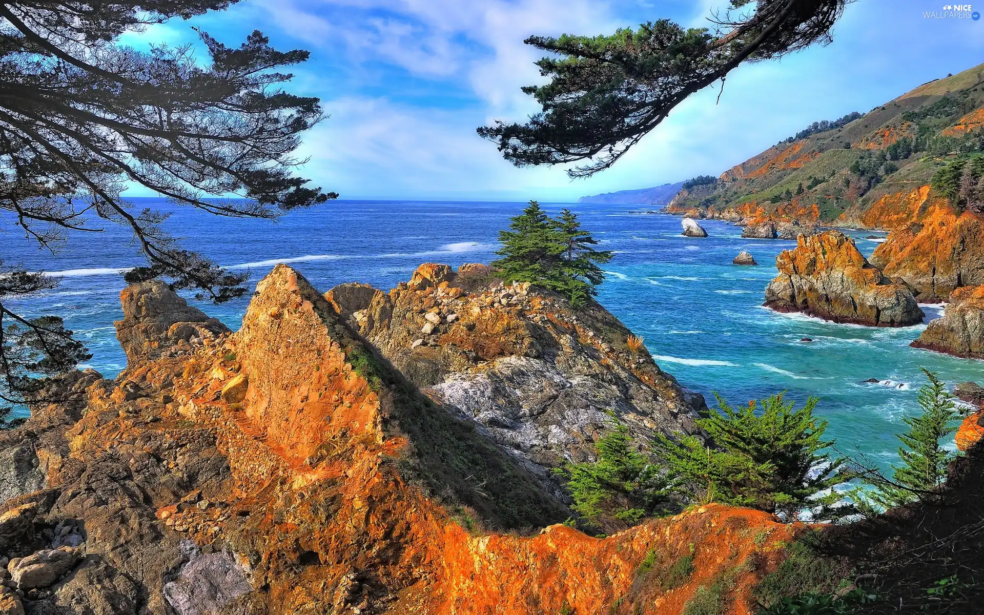 sea, branch pics, trees, rocks