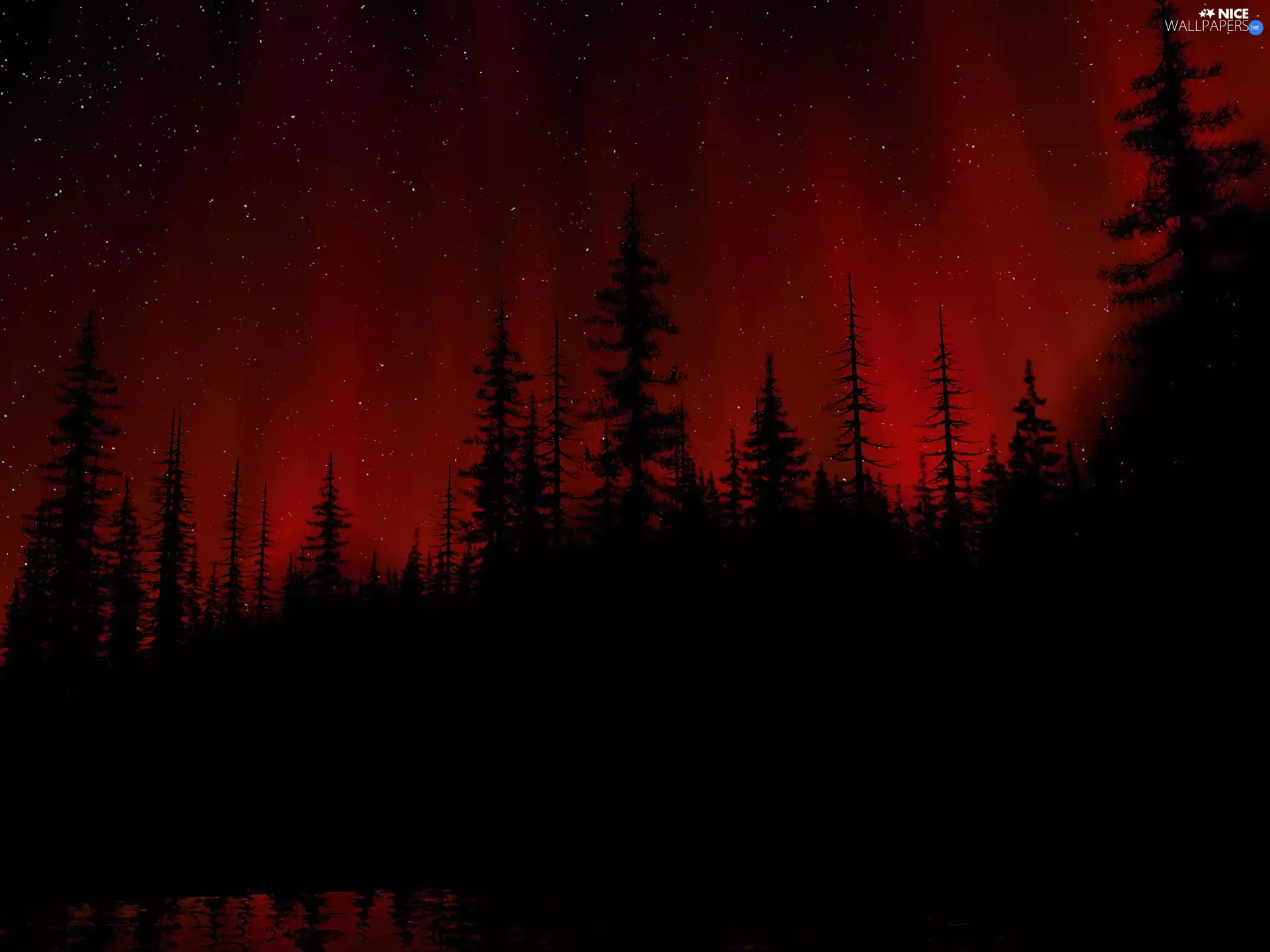 Sky, viewes, star, trees