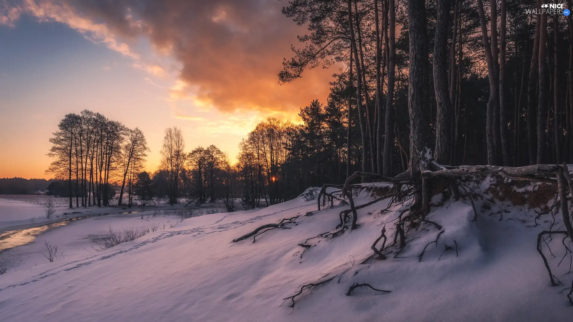 viewes, forest, snow, trees, winter, River, clouds