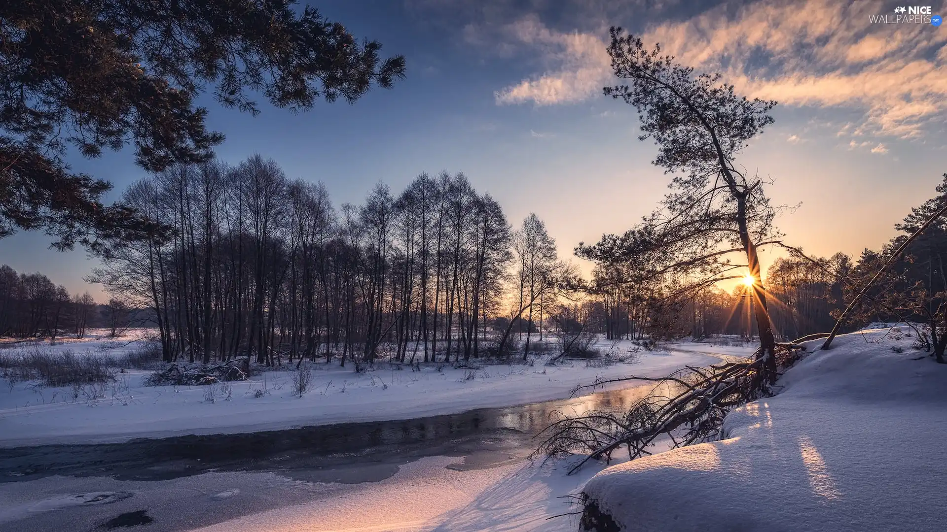 trees, rays of the Sun, River, snow, viewes, winter