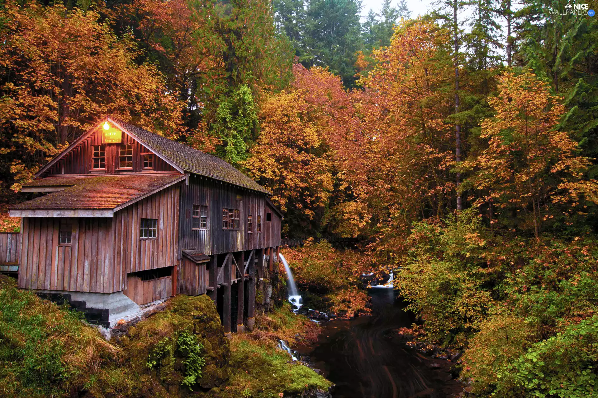 River, Cedar Creek Mill Grist Mill, trees, viewes, Washington State, The United States, autumn, Woodland, forest