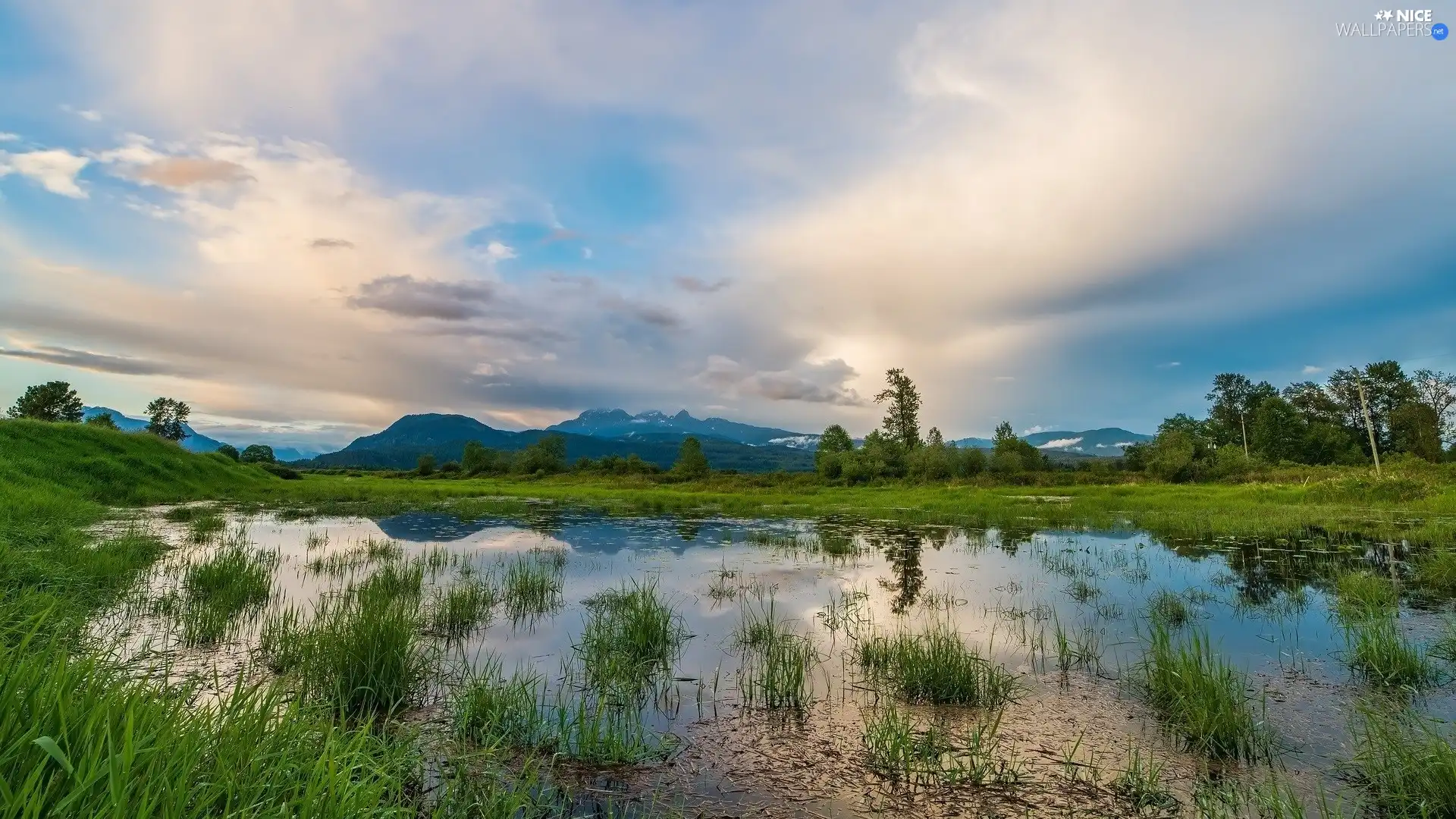 Pond - car, summer, trees, viewes, grass, Mountains