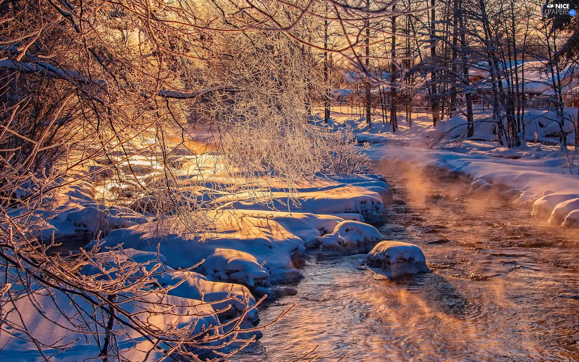 Stones, River, trees, viewes, luminosity, winter, sun, flash, ligh