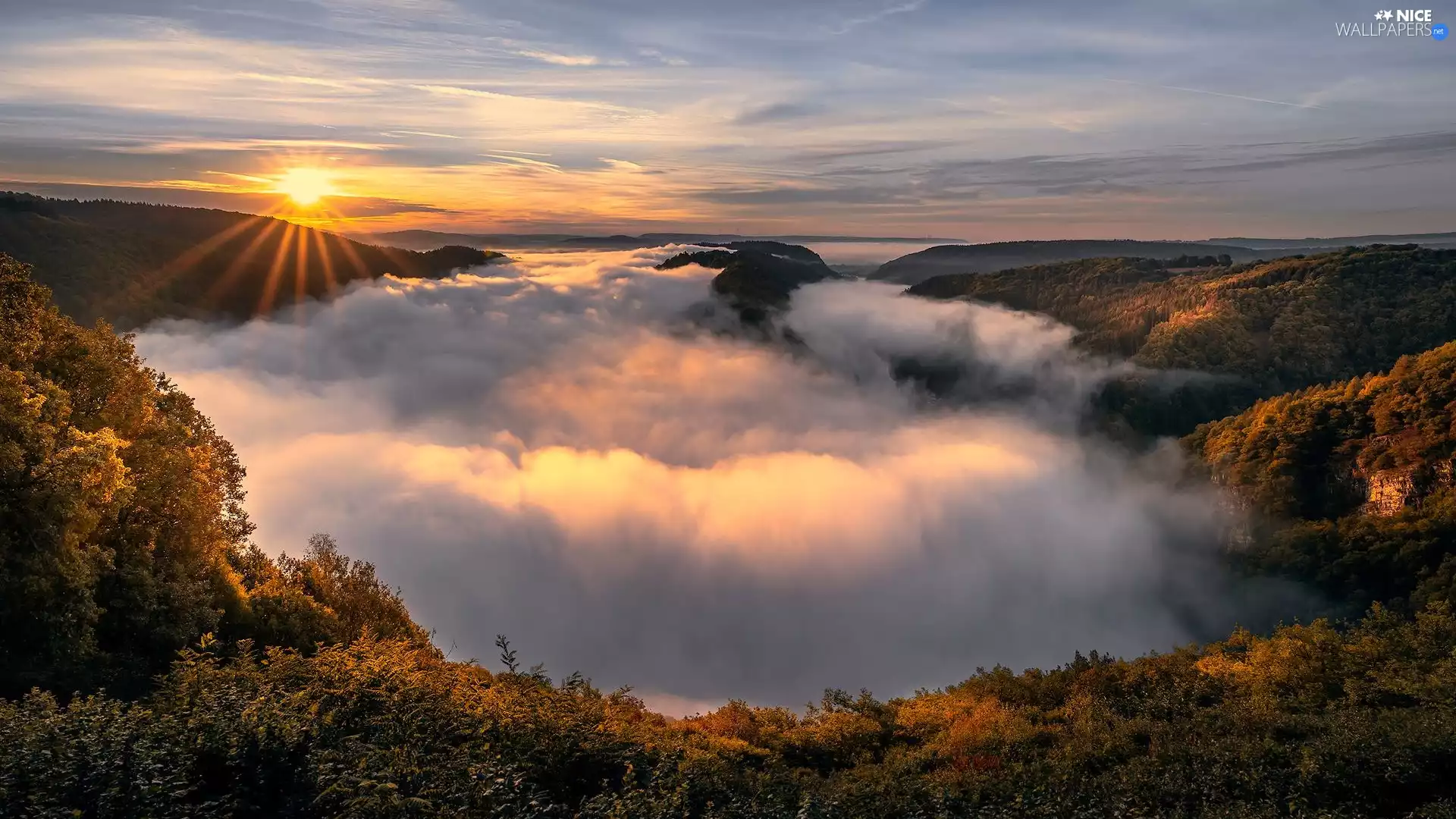 trees, Mountains, Fog, rays of the Sun, viewes, forest