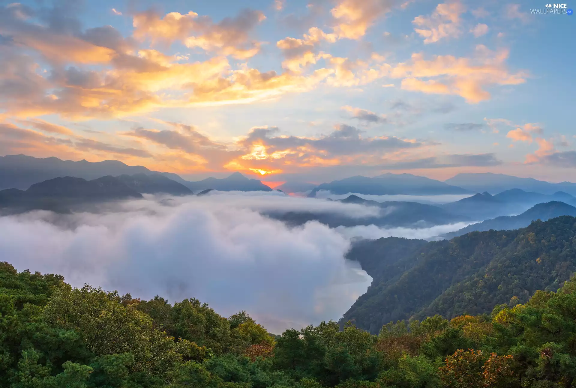 viewes, Fog, Sunrise, trees, Mountains, VEGETATION, clouds