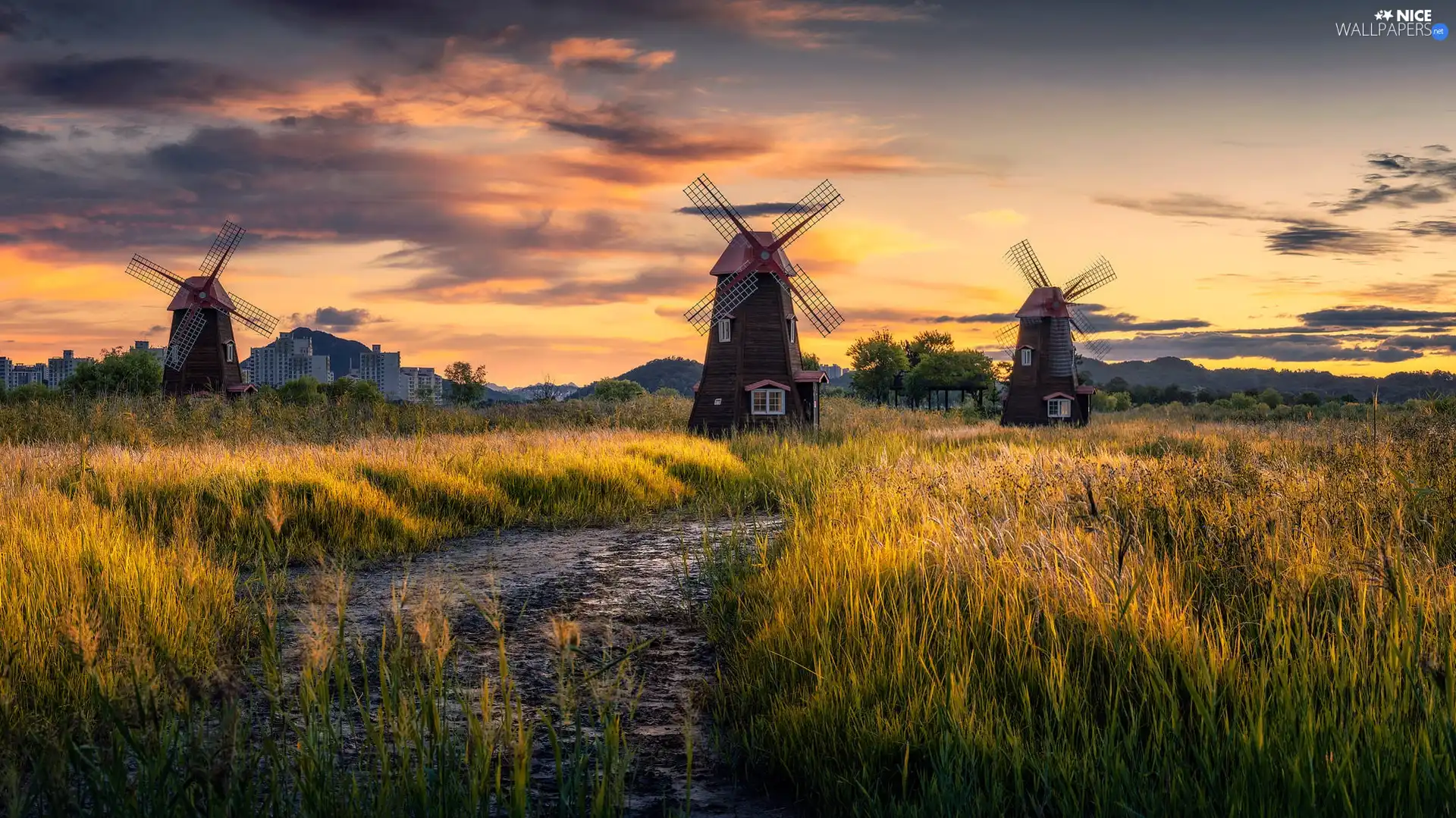 viewes, Windmills, Sunrise, trees, Meadow, Houses, clouds
