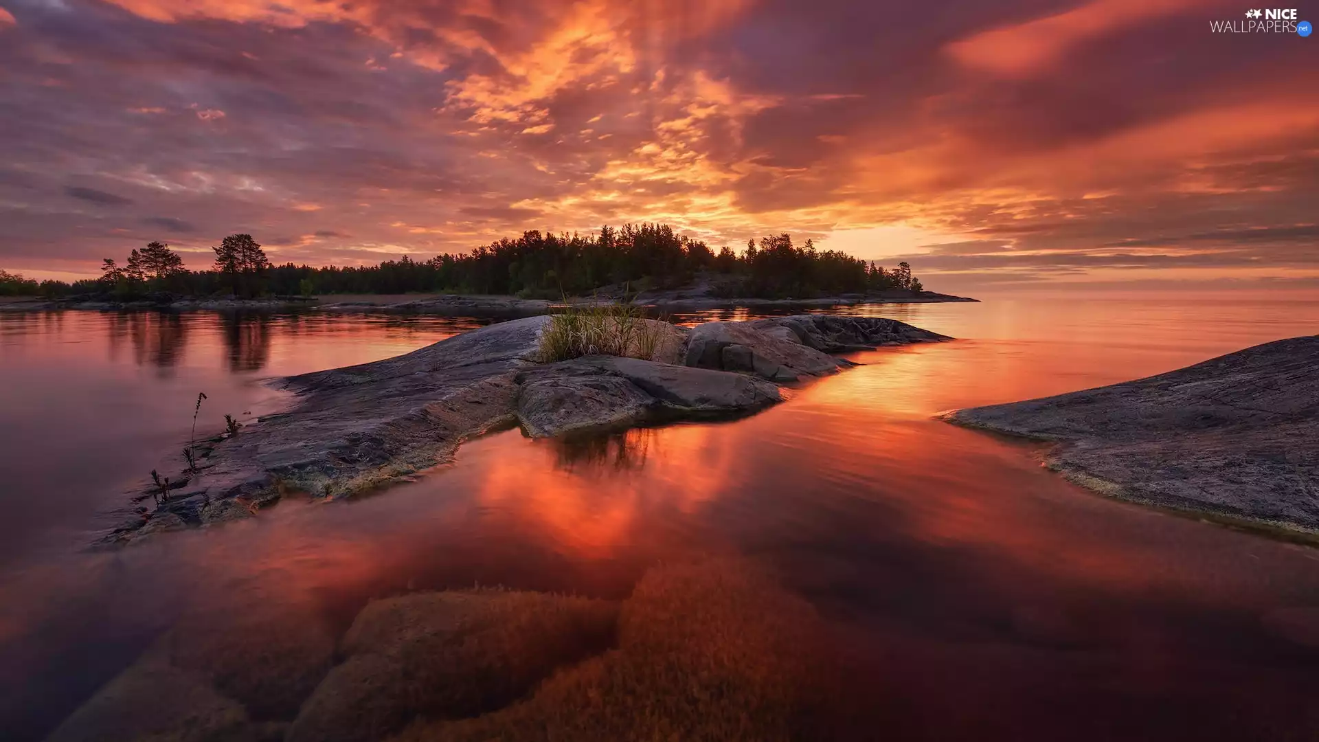 rocks, Great Sunsets, trees, viewes, Islet, lake