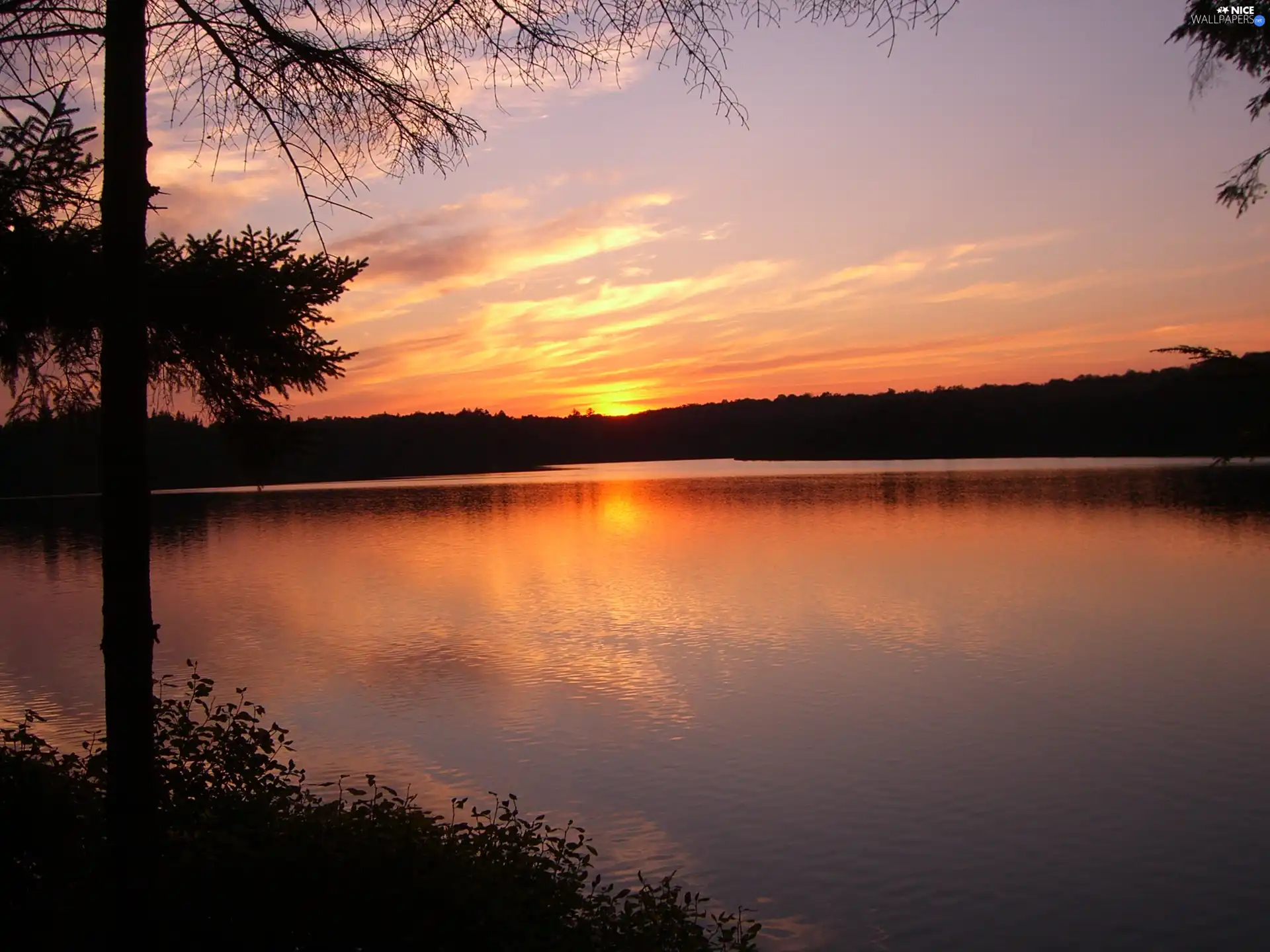 Great Sunsets, lake, trees