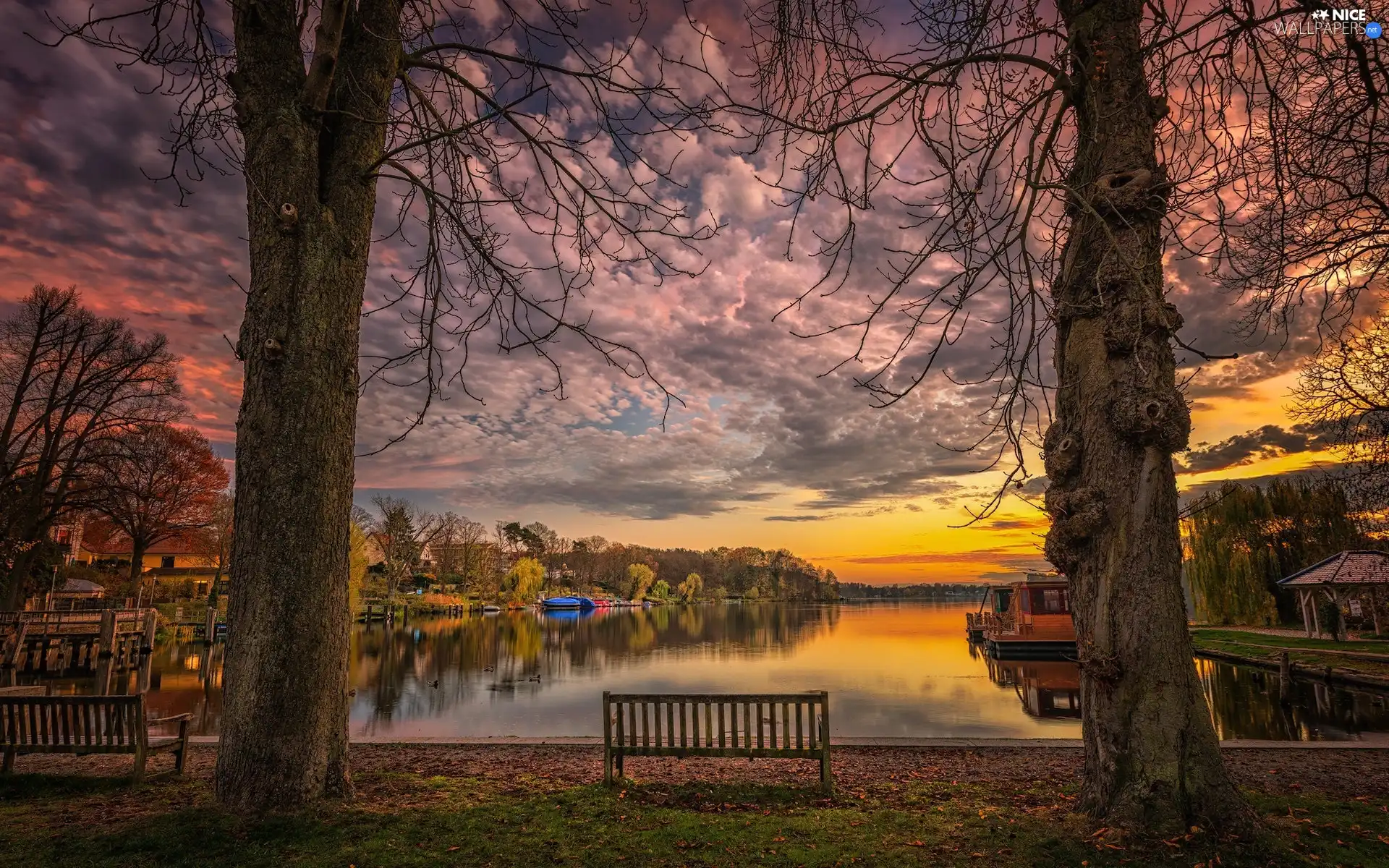 viewes, bench, lake, trees, Great Sunsets