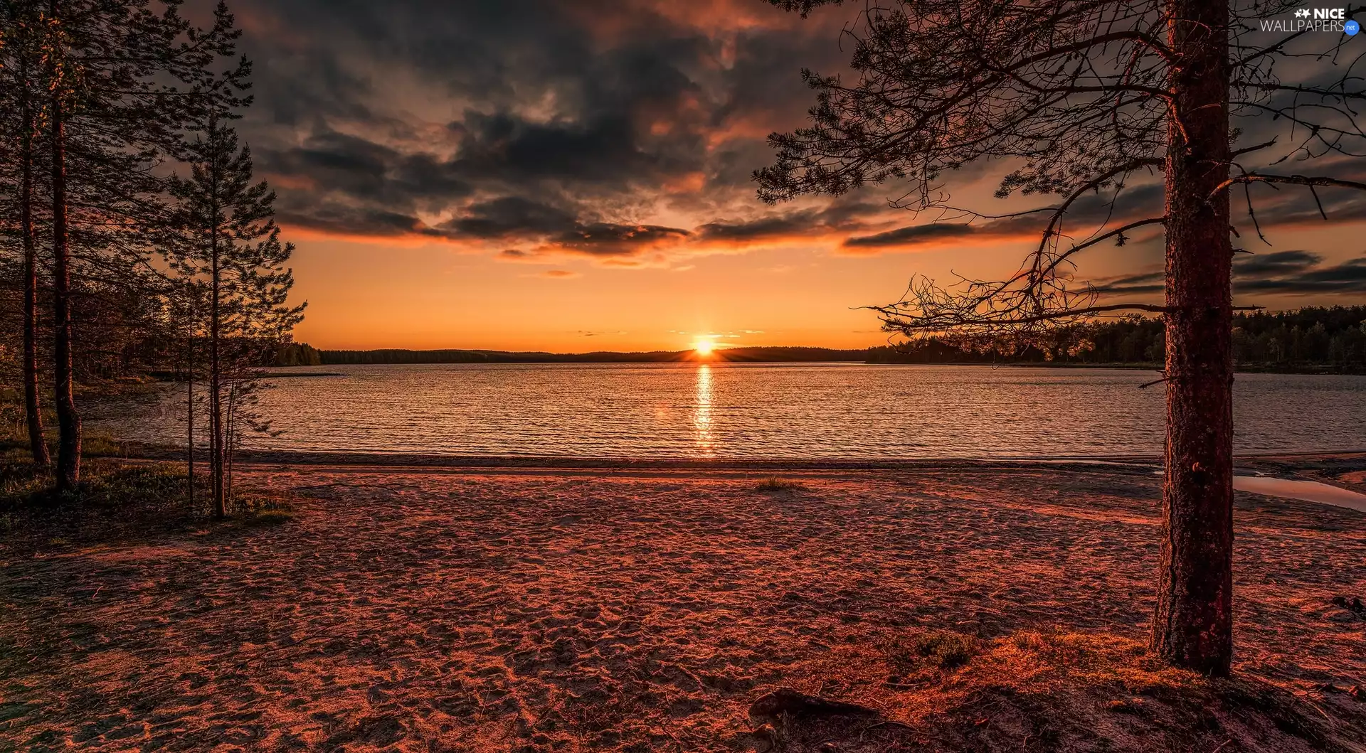 viewes, clouds, lake, trees, Great Sunsets