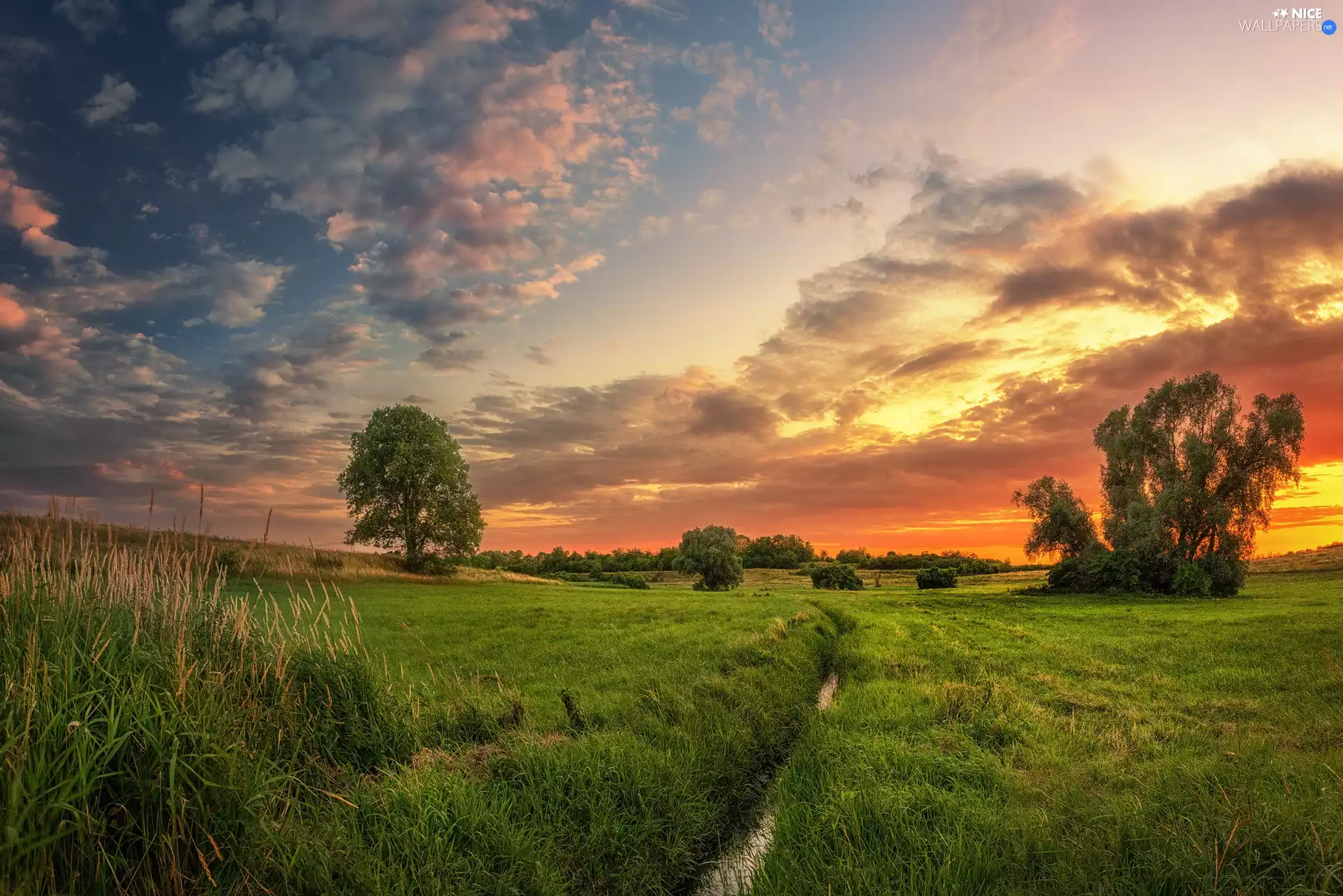 viewes, stream, medows, trees, Great Sunsets