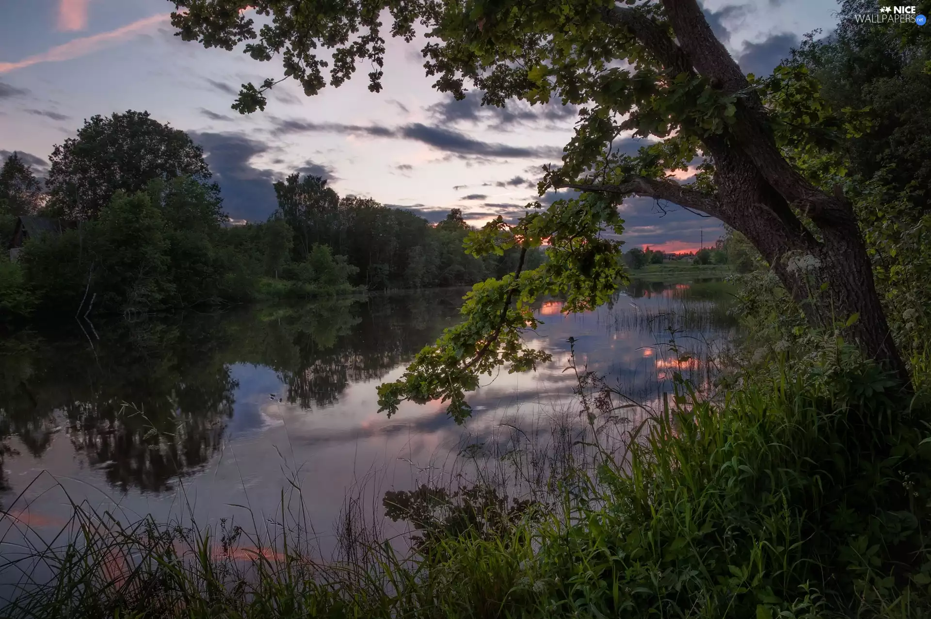 viewes, house, River, trees, Great Sunsets