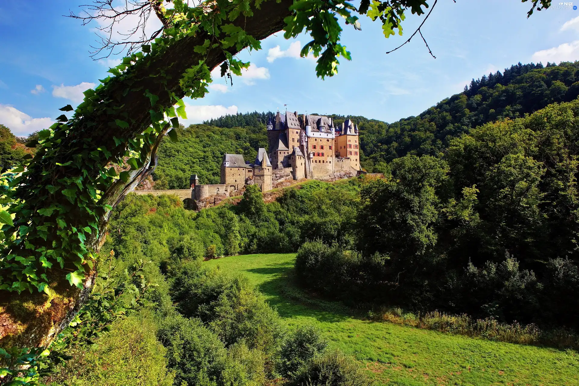 Castle, woods, trees, The Hills