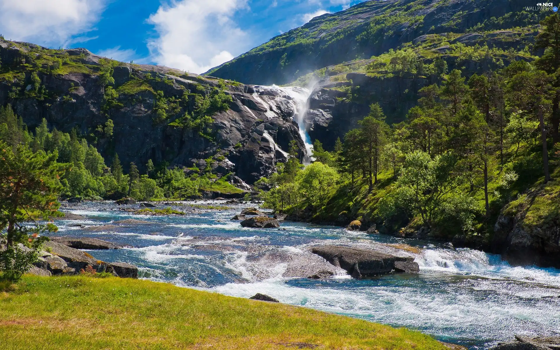 trees, viewes, The Hills, River, rocks