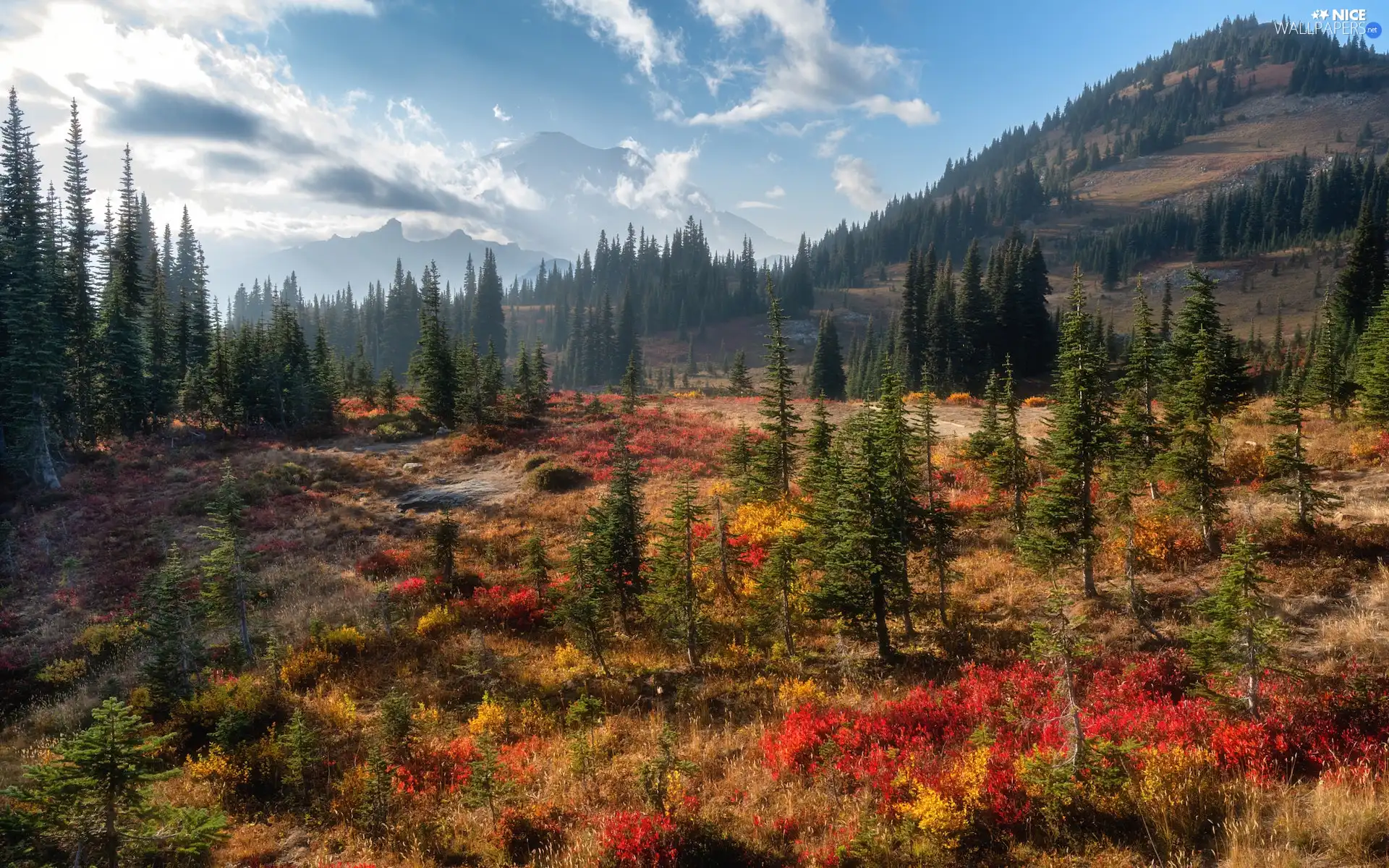 Mount Rainier National Park, Mountains, light breaking through sky, autumn, viewes, Washington State, The United States, trees