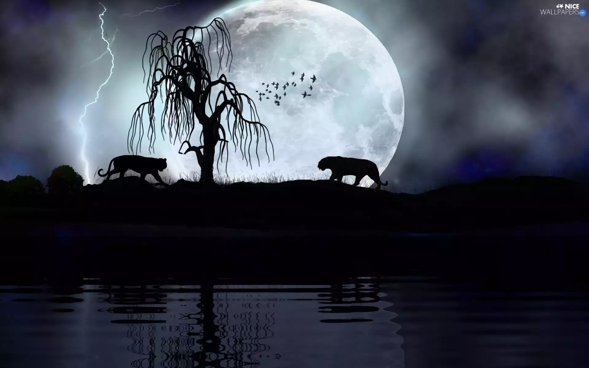 tigress, Night, moon, trees