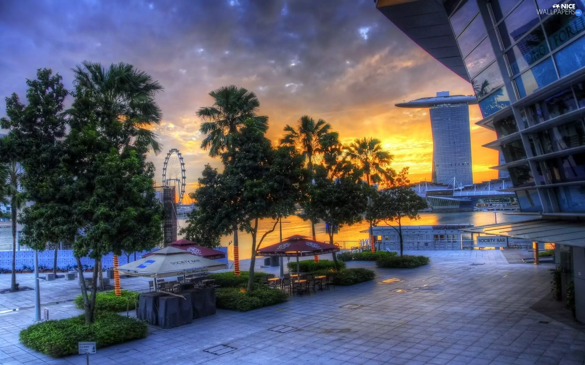 Town, viewes, architecture, trees
