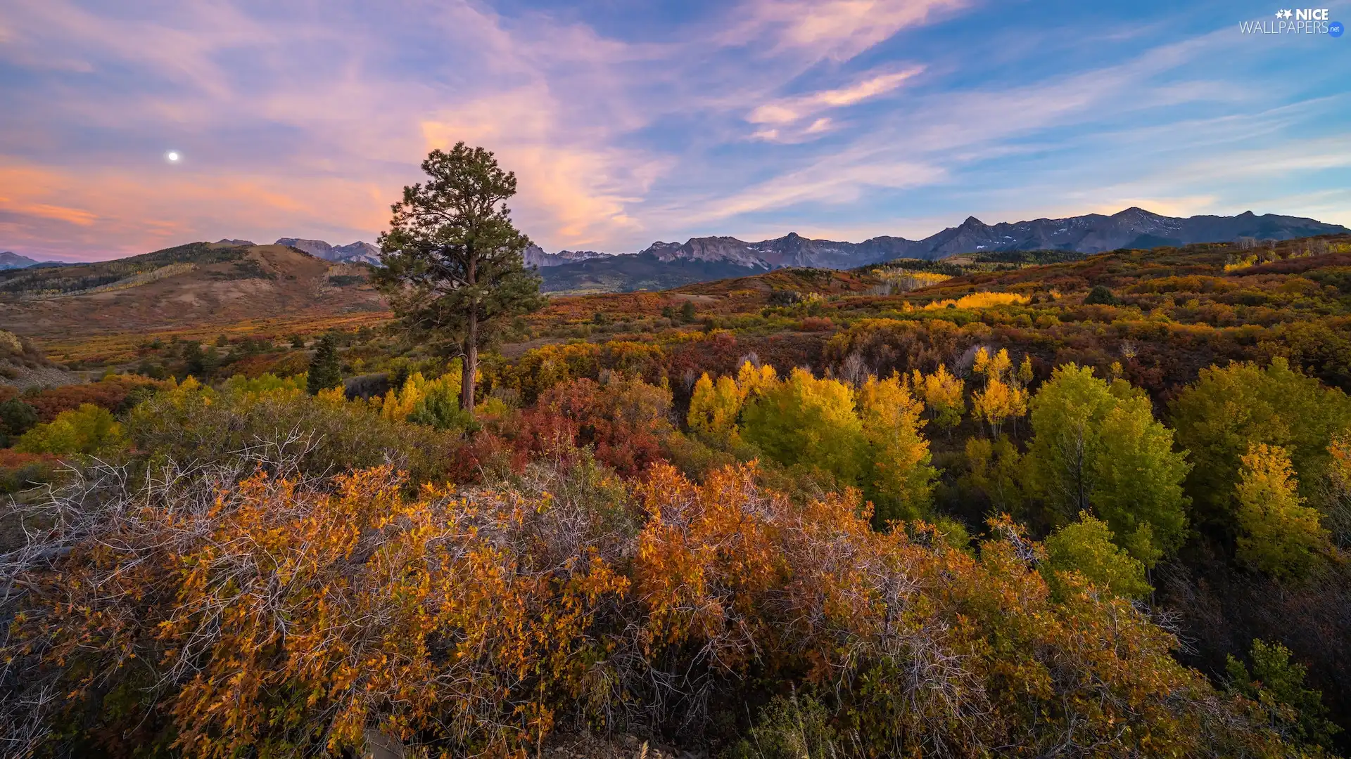 State of Colorado, The United States, Telluride, autumn, trees, moon, VEGETATION, Coloured, The Hills