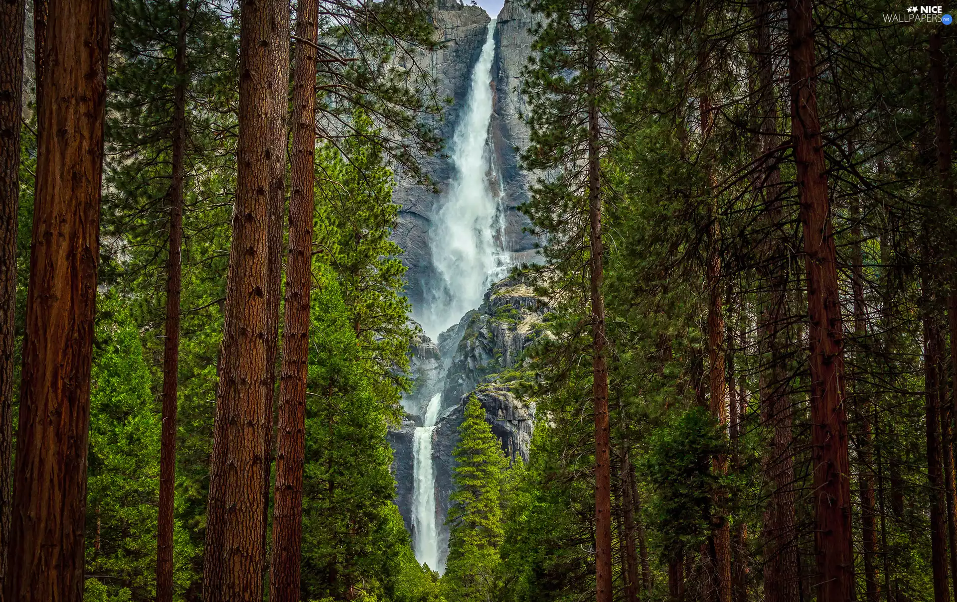 California, The United States, Yosemite National Park, Upper Yosemite Fall, The United States, California, viewes, forest, trees