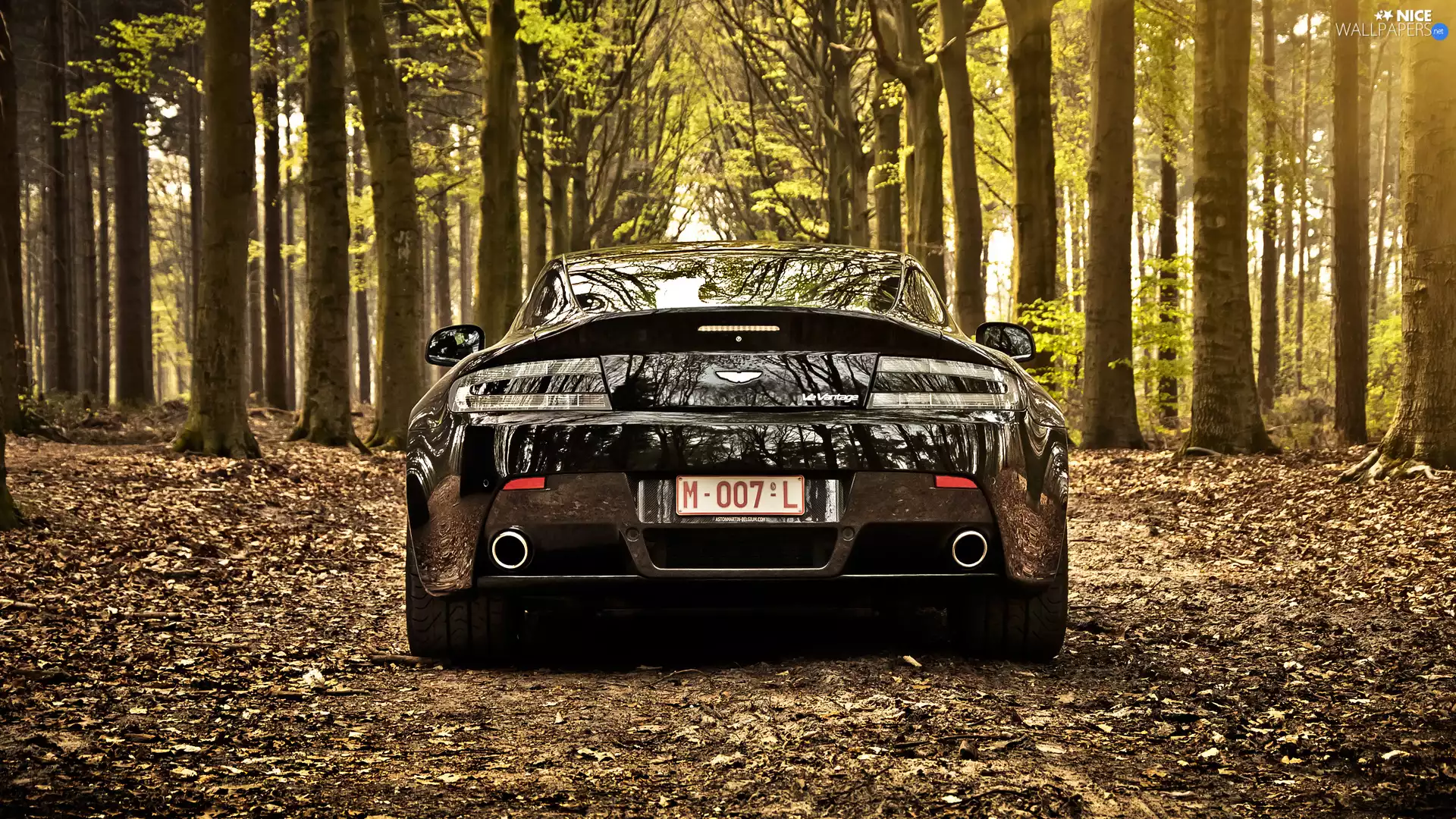 trees, viewes, 2012, forest, Aston Martin V8 Vantage Roadster