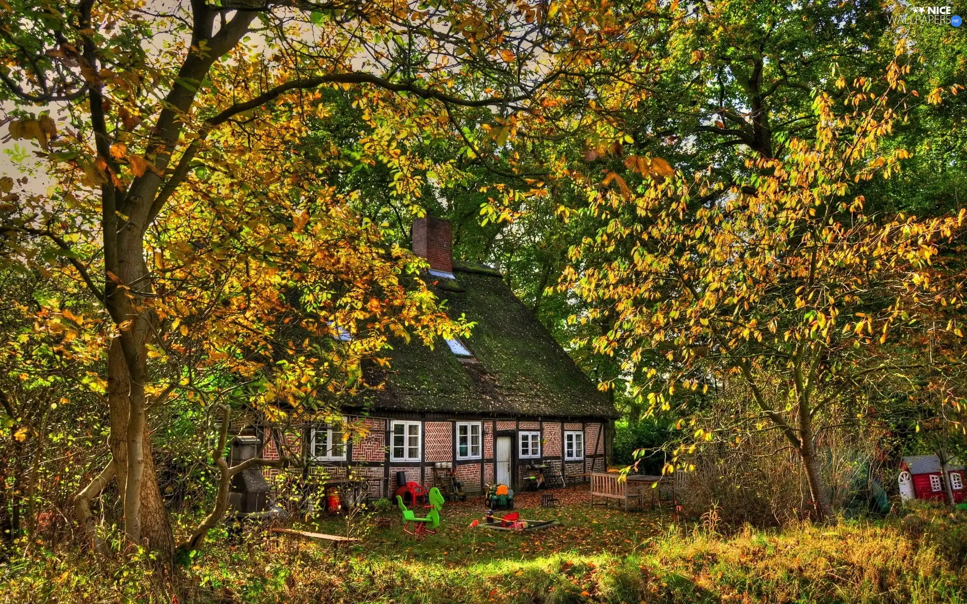 trees, viewes, house, Garden, autumn