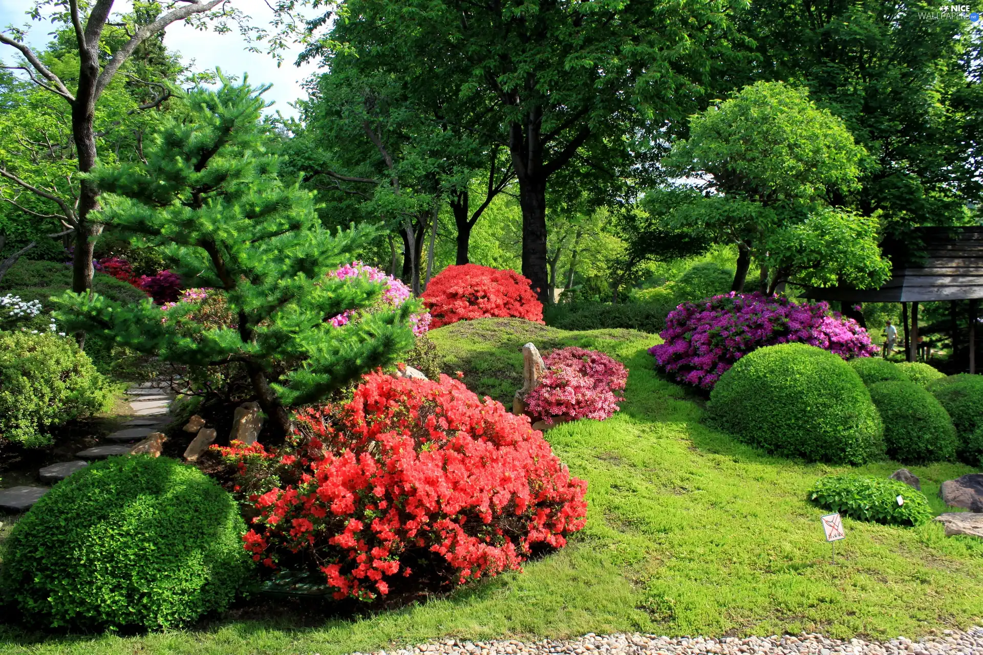 flourishing, Garden, trees, viewes, Bush, beatyfull