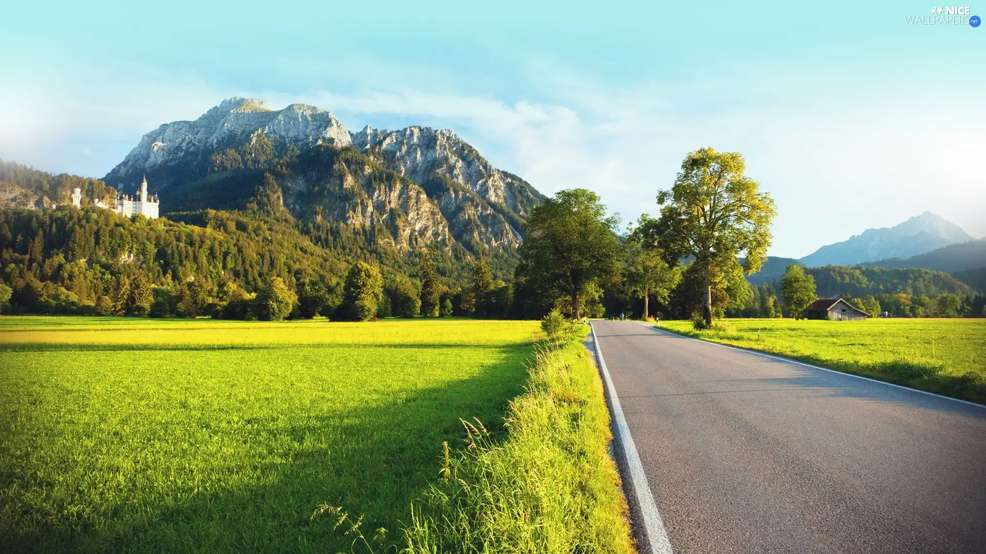 Field, Mountains, trees, viewes, Castle, Way