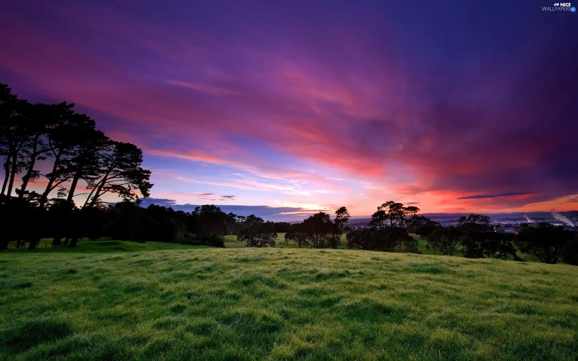 trees, viewes, Sky, grass, color