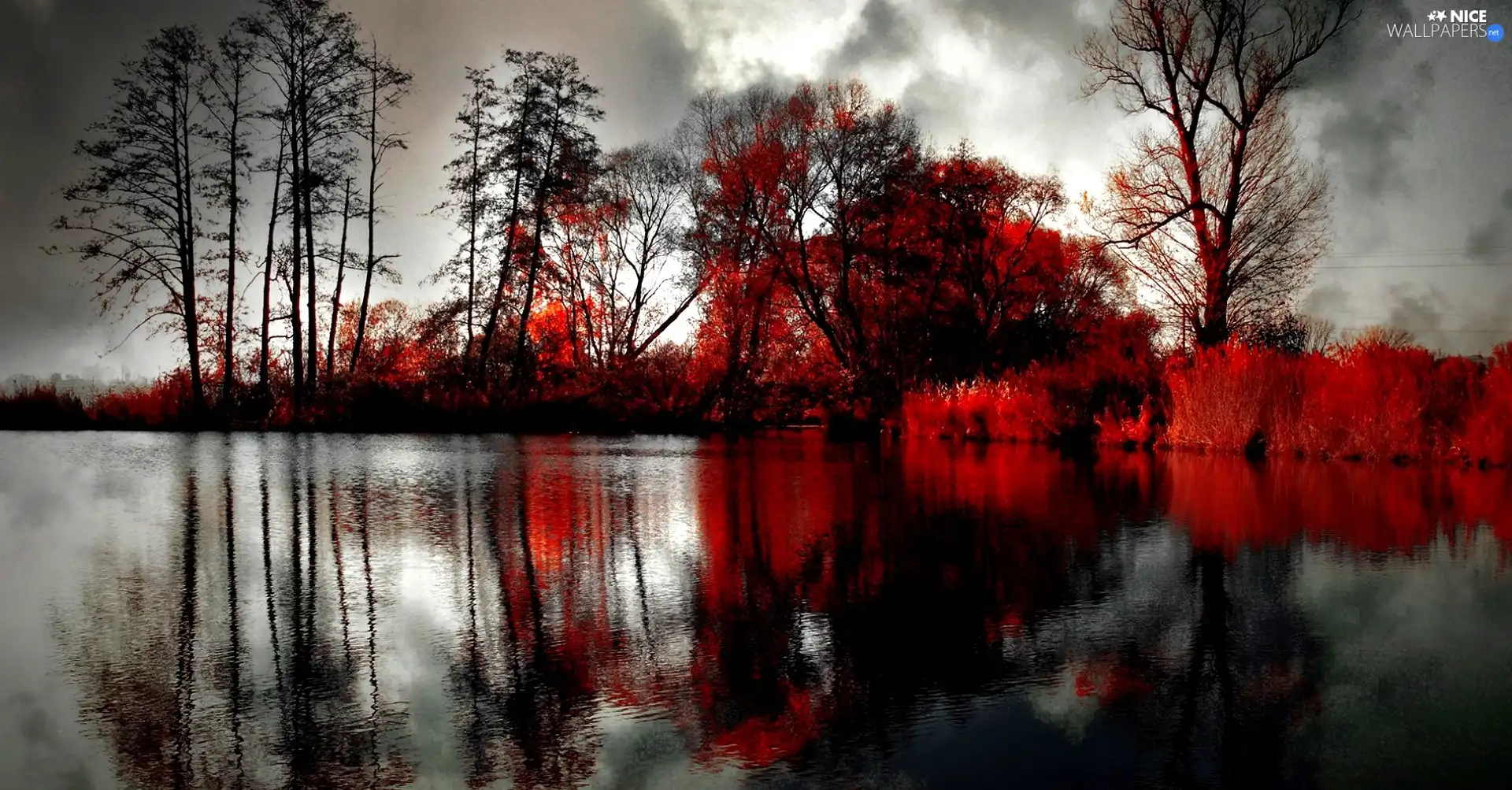 clouds, Park, trees, viewes, color, lake