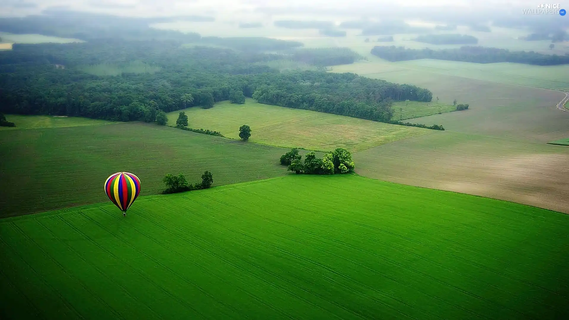 trees, viewes, color, Balloon, field