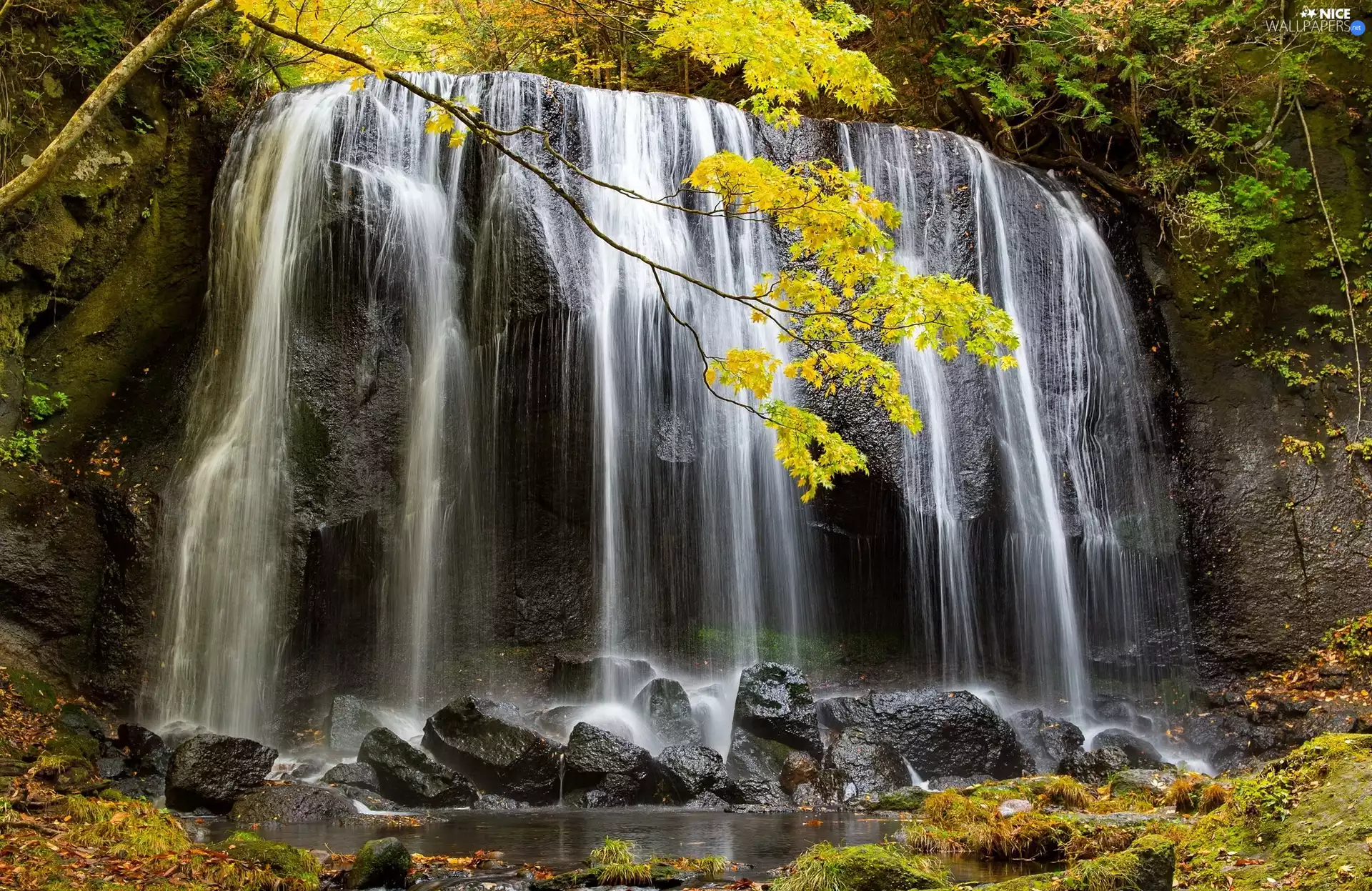 Waterfall Tatsuzawa Fudo no Taki, Japan, trees, viewes, rocks, Honshu Island