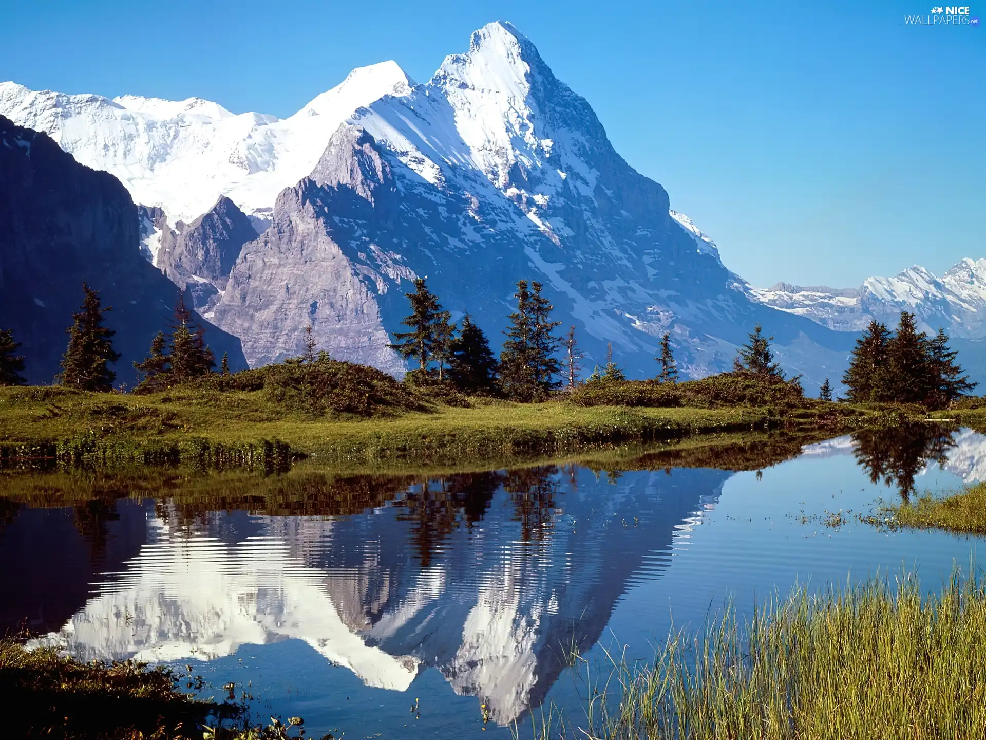 water, Mountains, trees, viewes, grass, Snowy