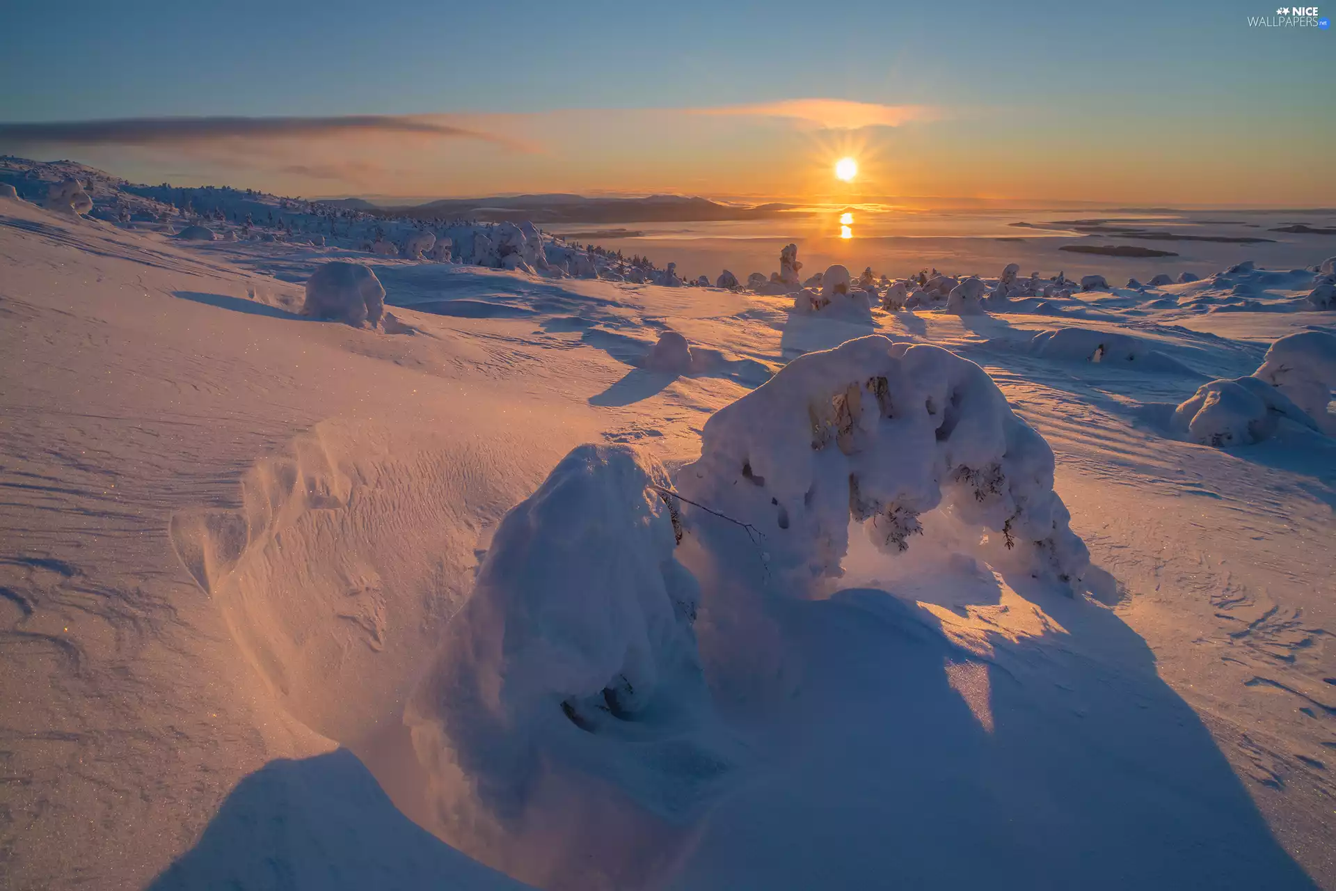 trees, winter, Great Sunsets, rays of the Sun, viewes, snow