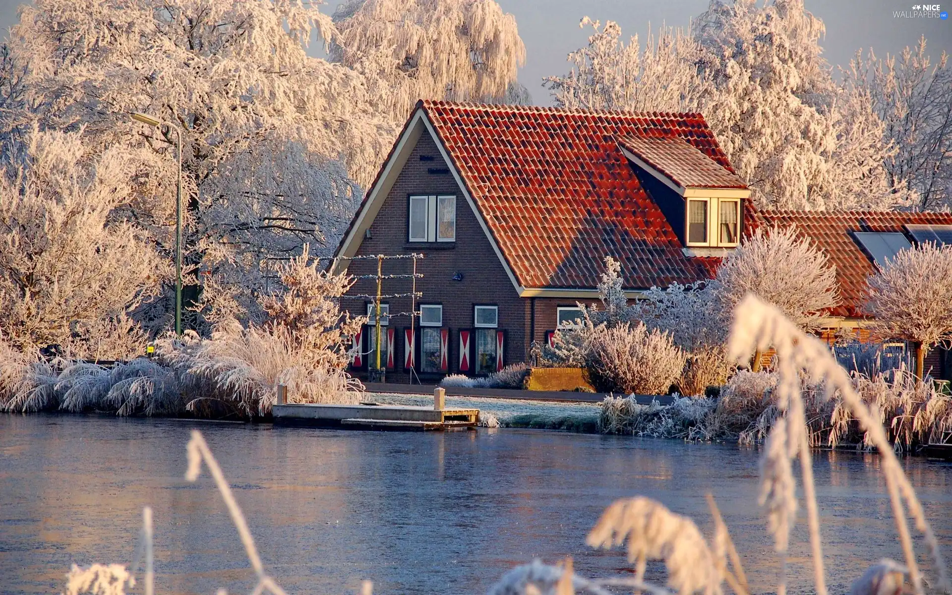 trees, viewes, by, lake, house