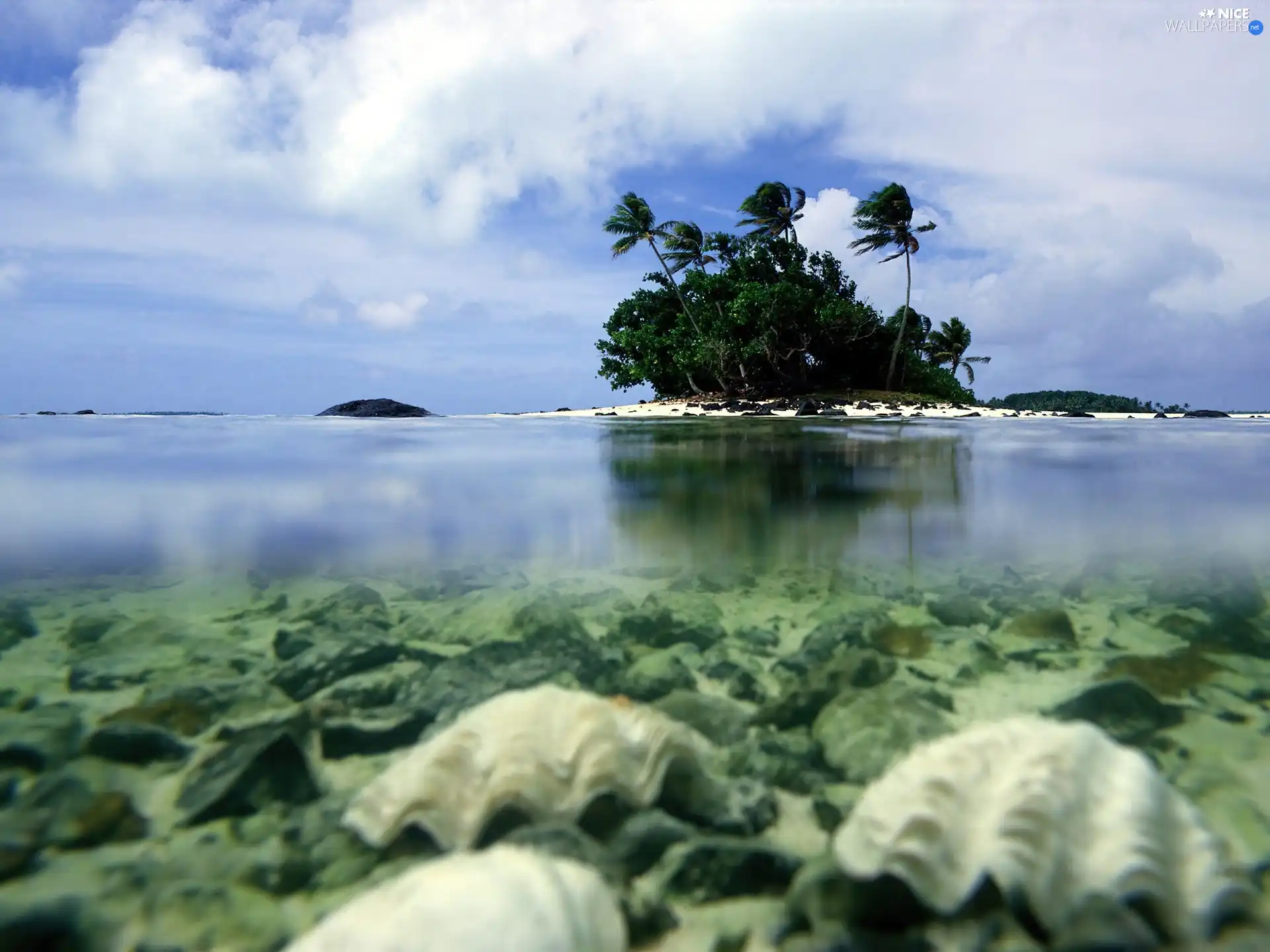 trees, viewes, Aitutaki, water, iceland