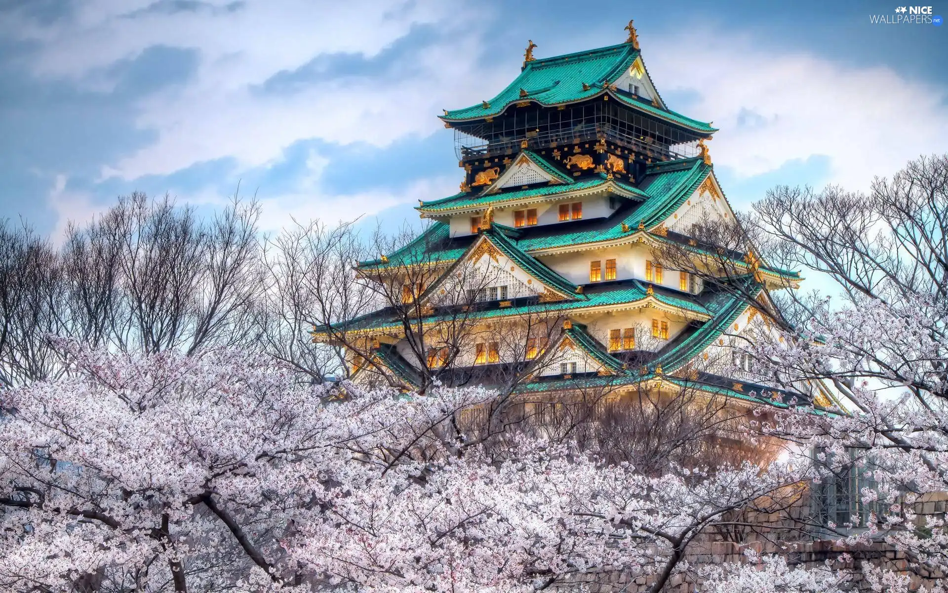 trees, viewes, house, flourishing, japanese