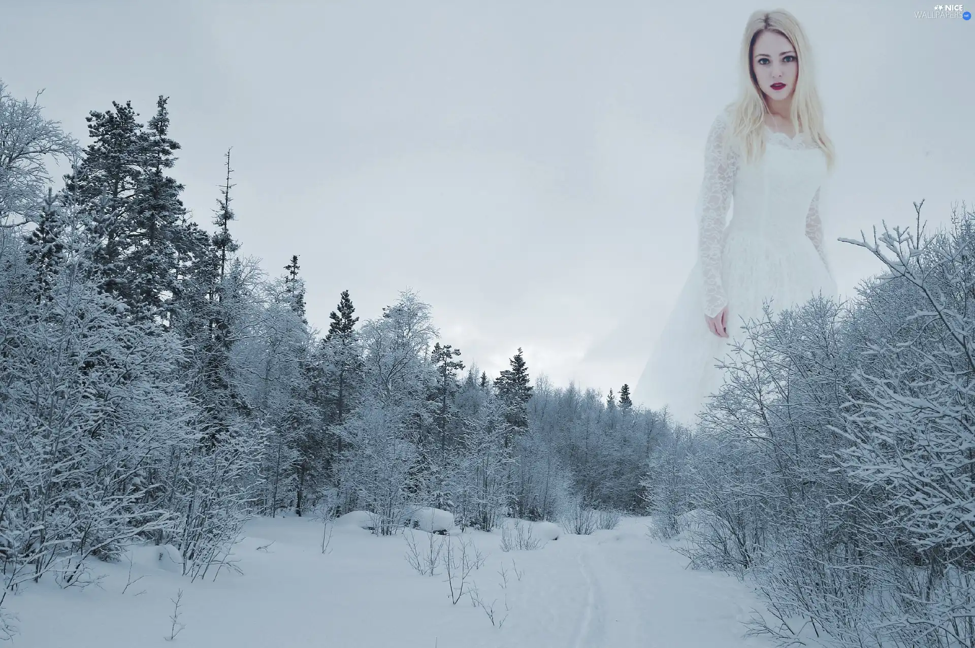 trees, viewes, winter, snow, lady