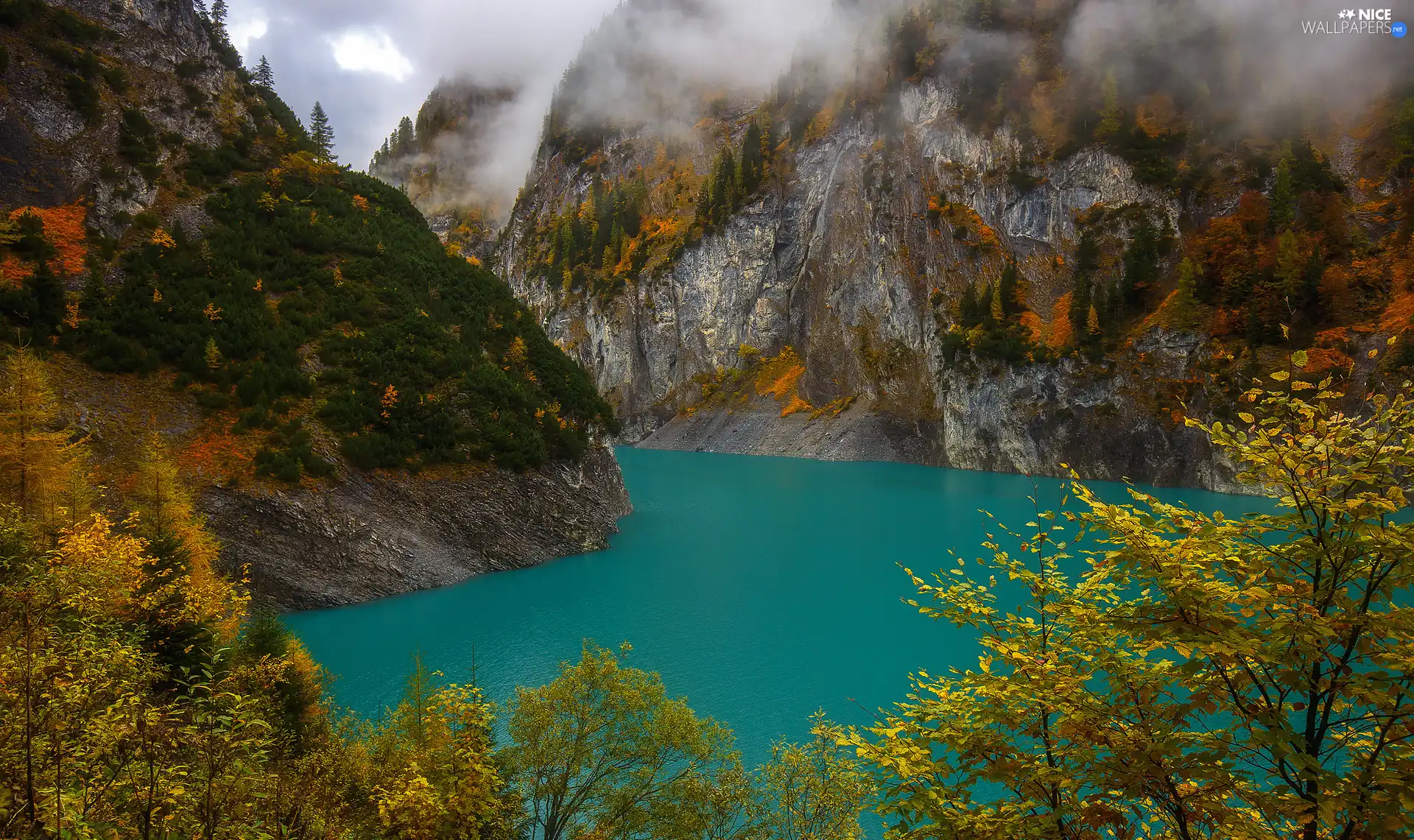 Fog, autumn, trees, viewes, lake, Mountains