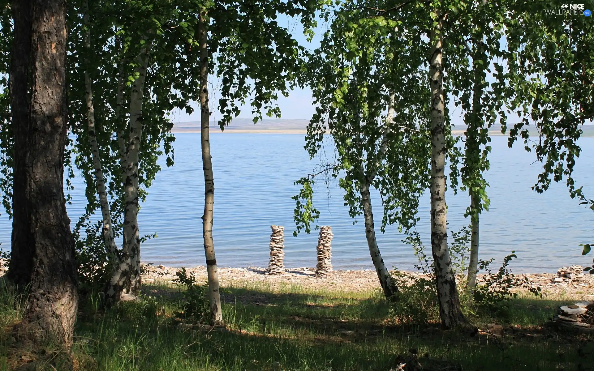 trees, viewes, stony, coast, lake