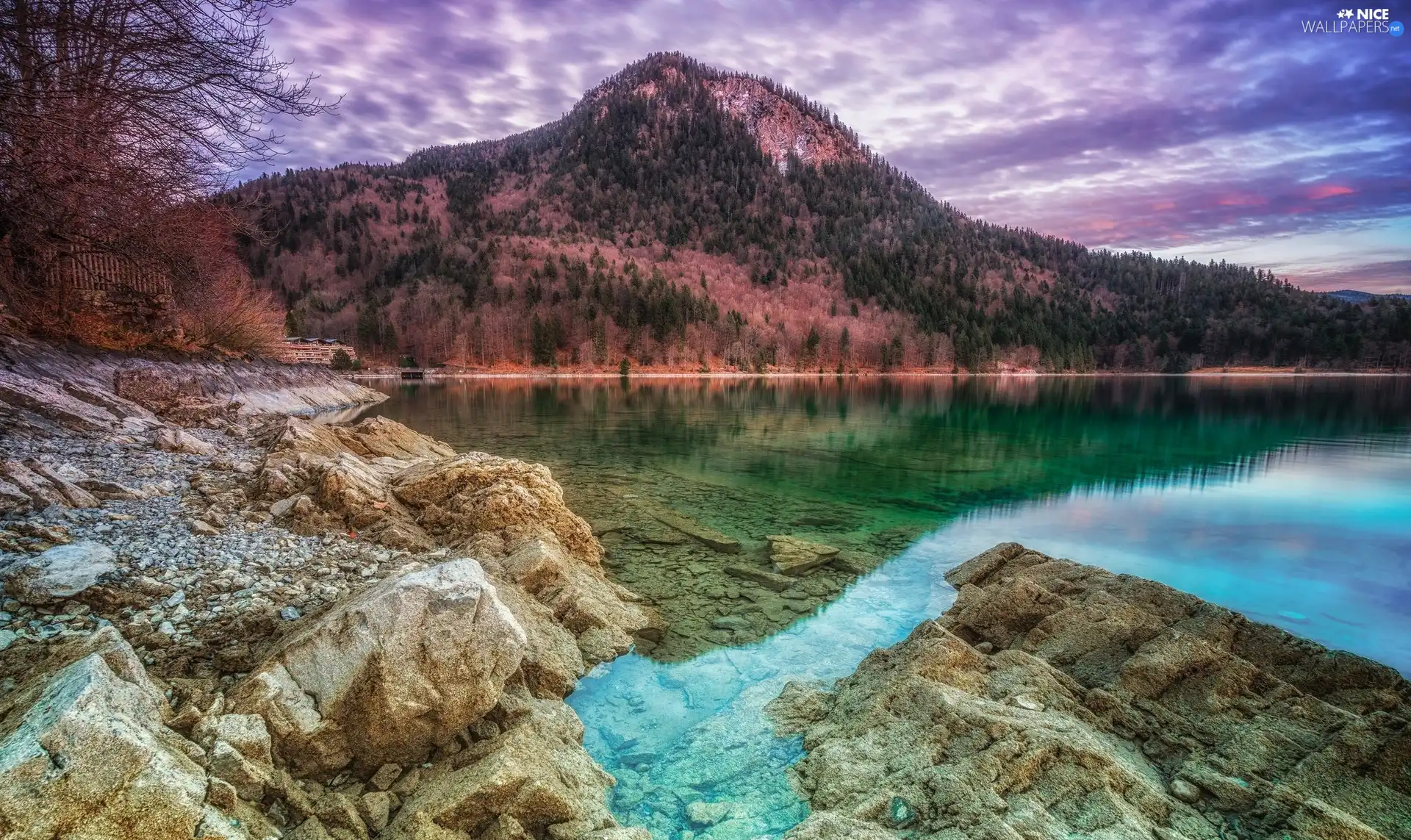 trees, viewes, Stones, Mountains, lake