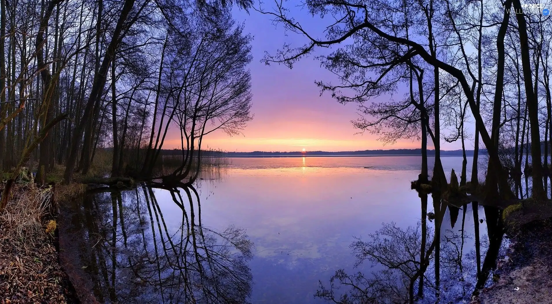 trees, viewes, west, sun, lake