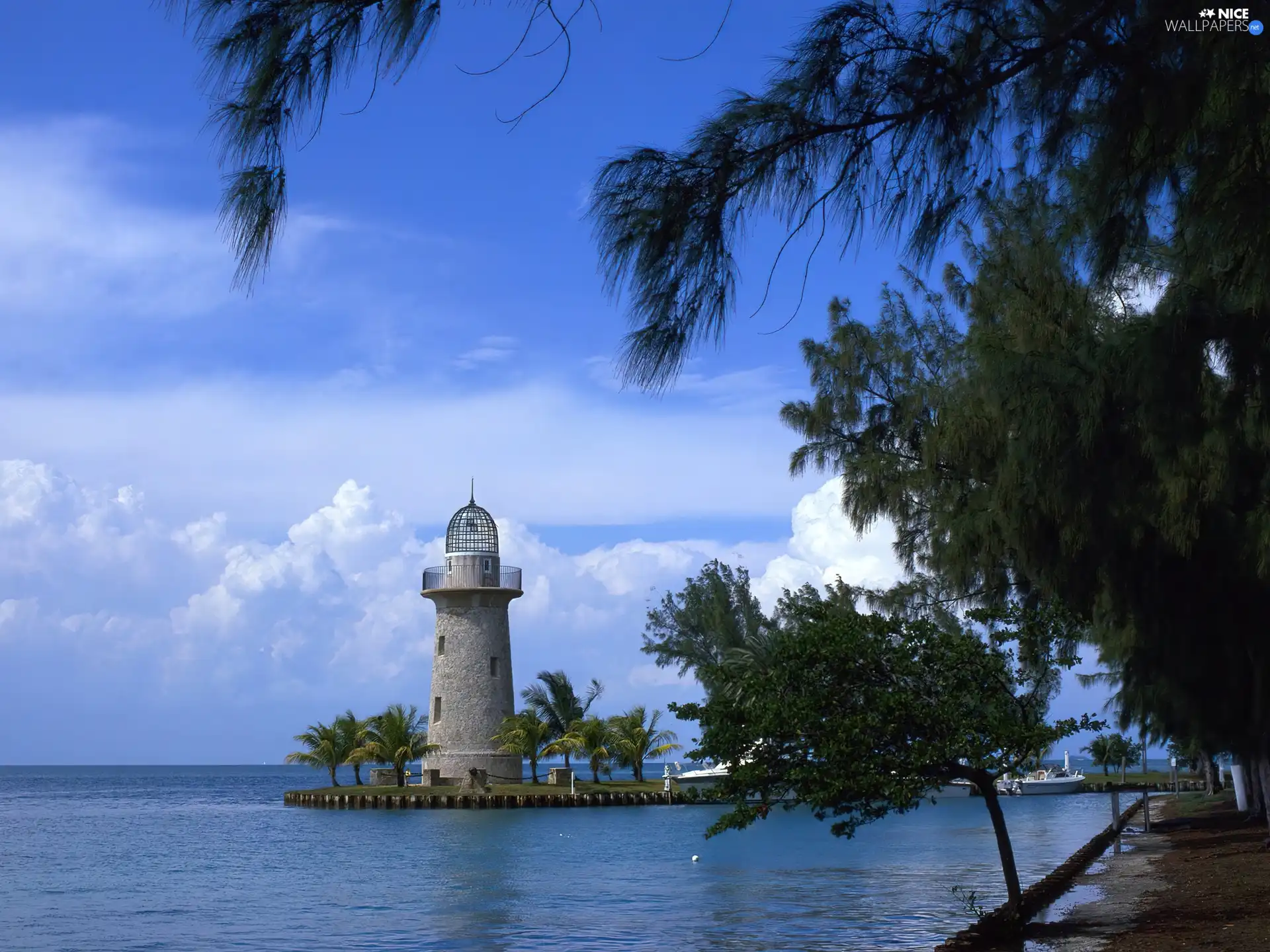 trees, viewes, maritime, sea, Lighthouse