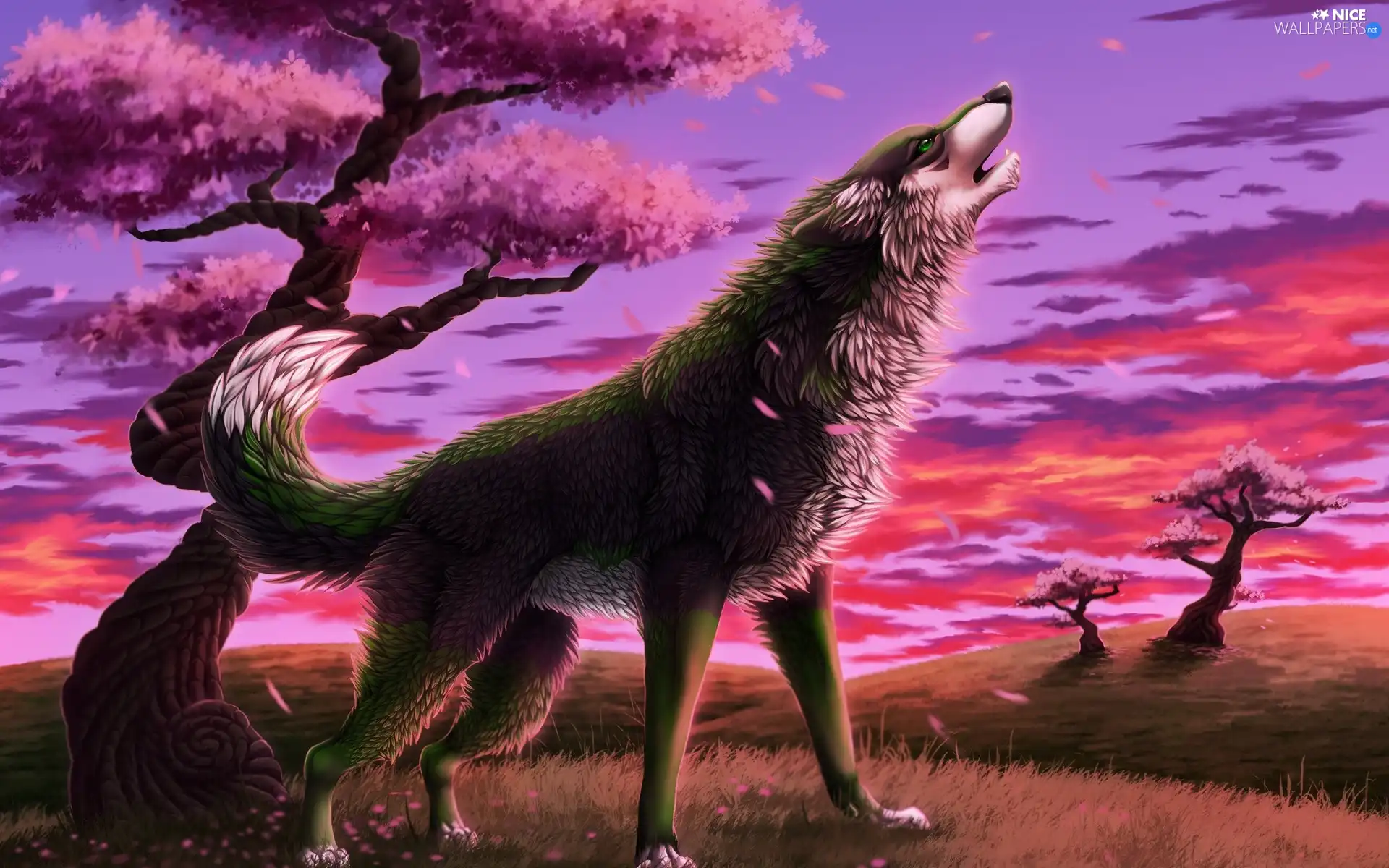 Wolf, trees, viewes, car in the meadow