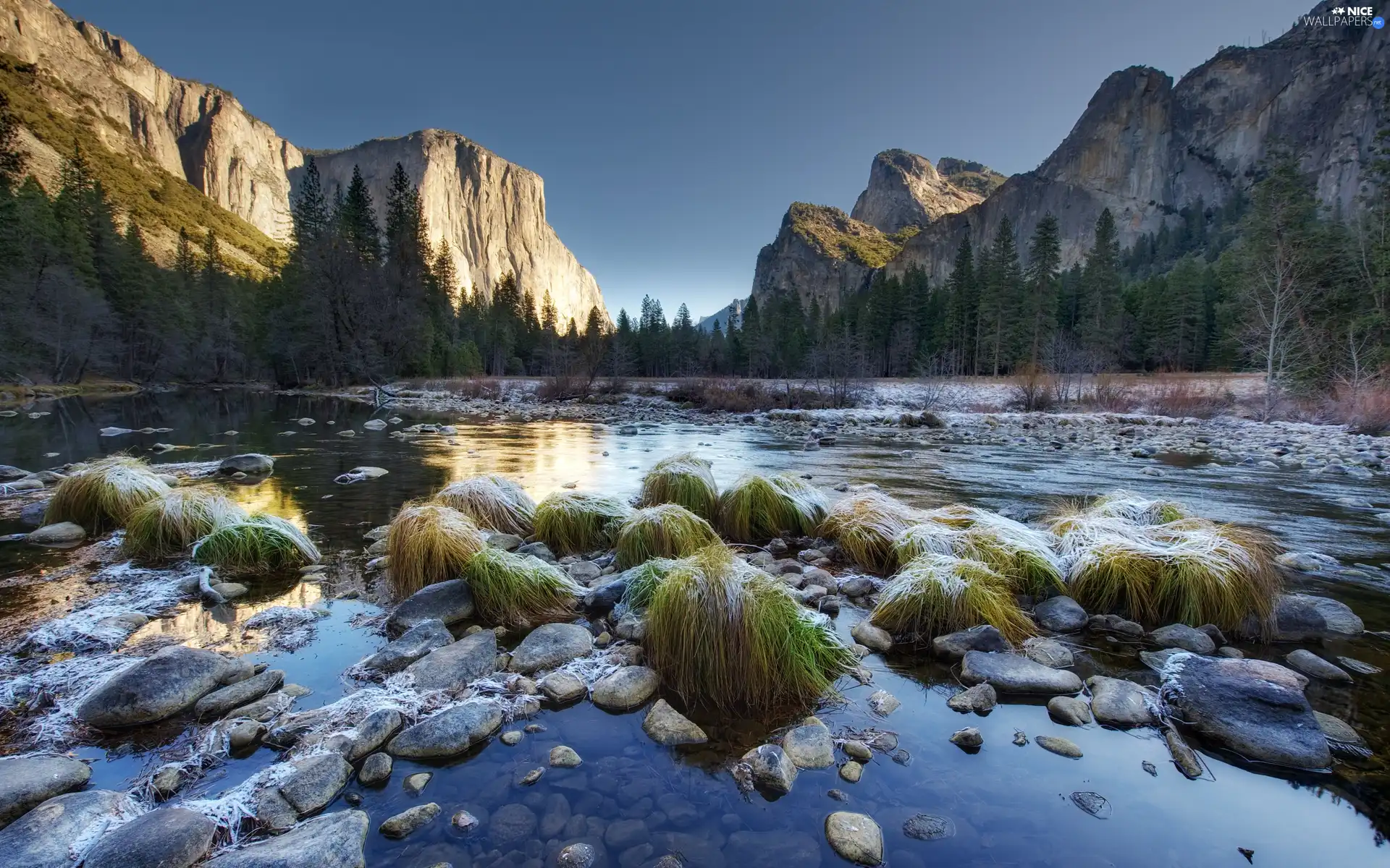 trees, viewes, lake, grass, Mountains