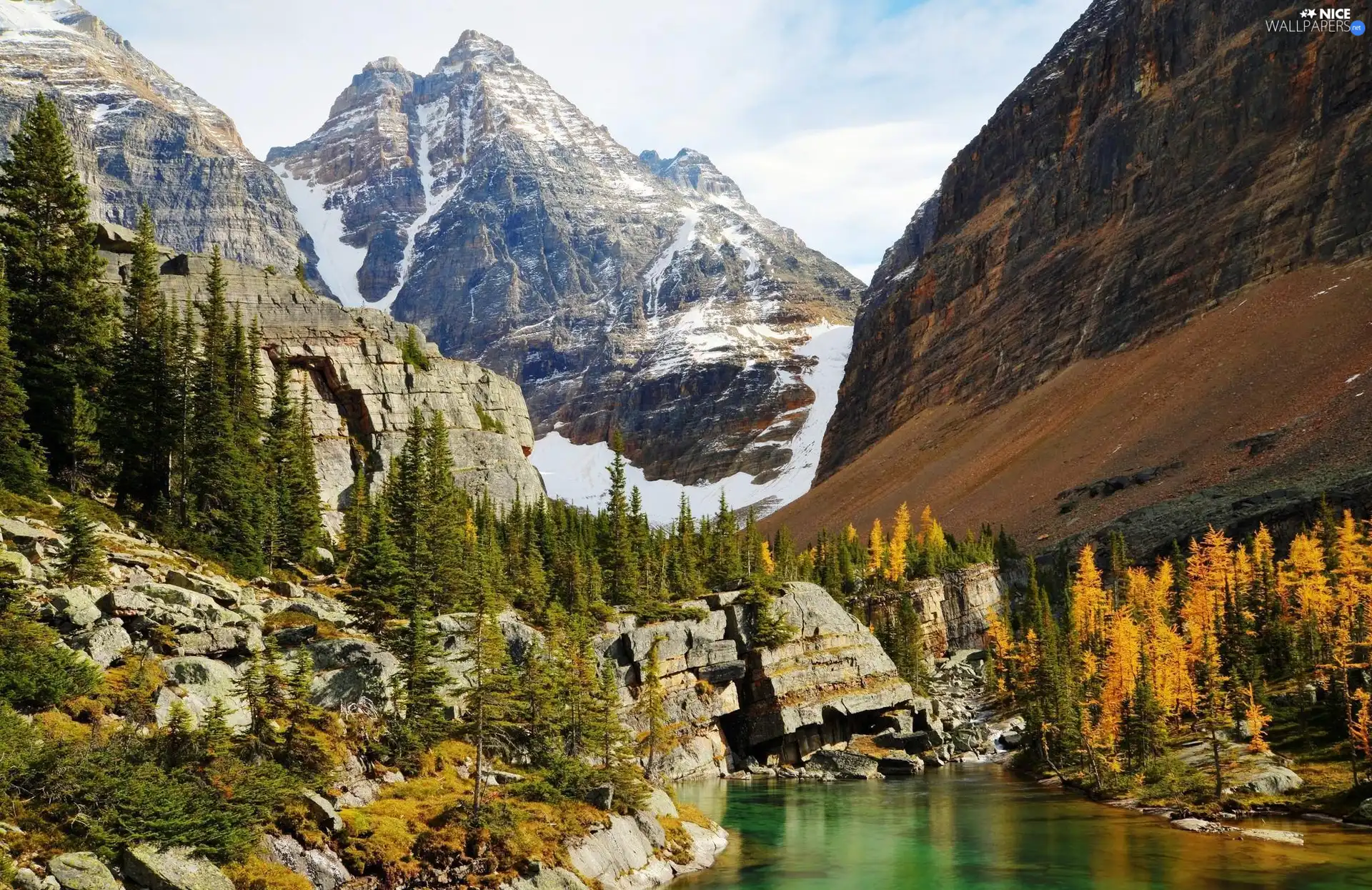 trees, viewes, rocks, lake, Mountains