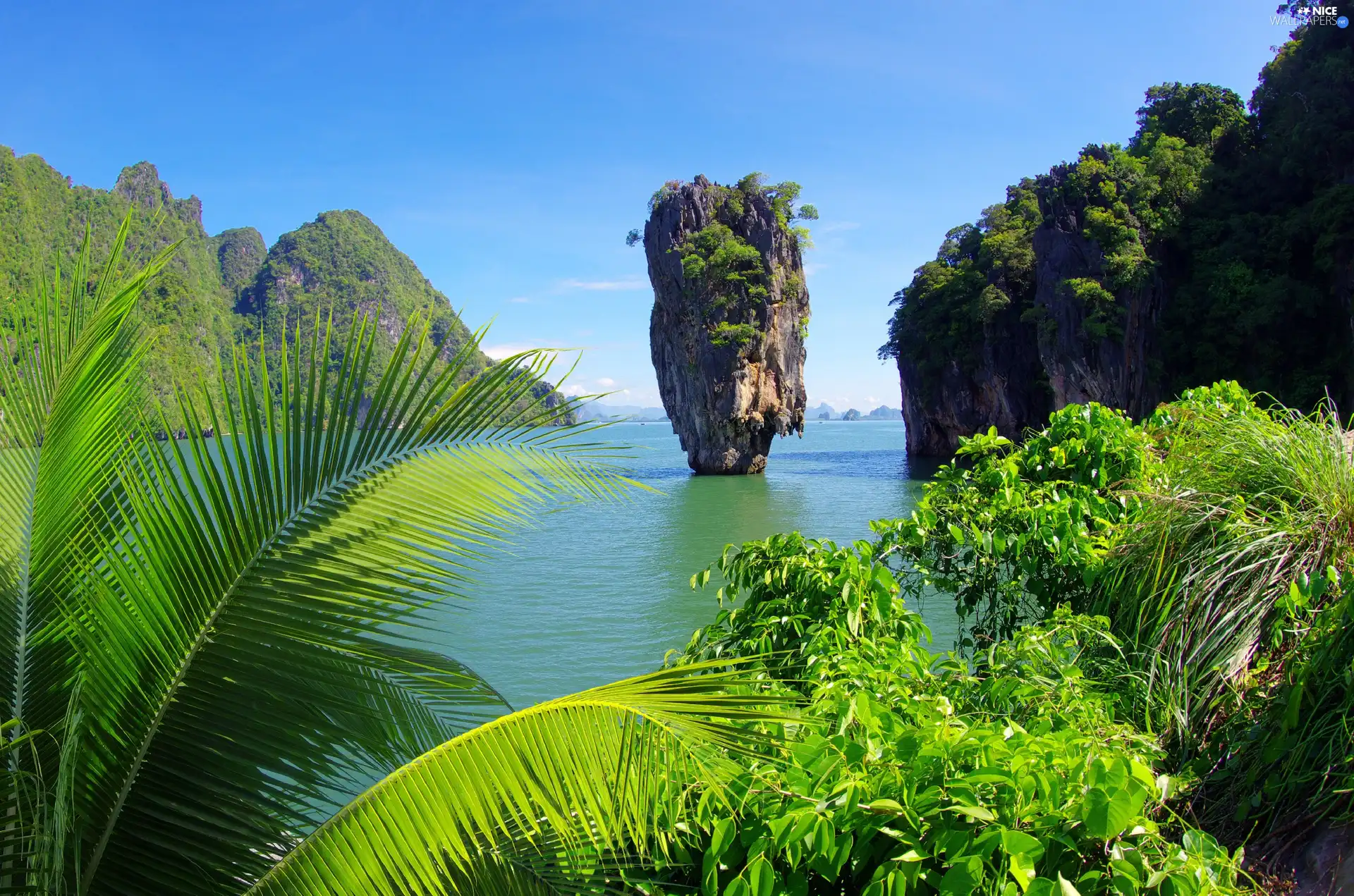 trees, viewes, rocks, Palm, Mountains