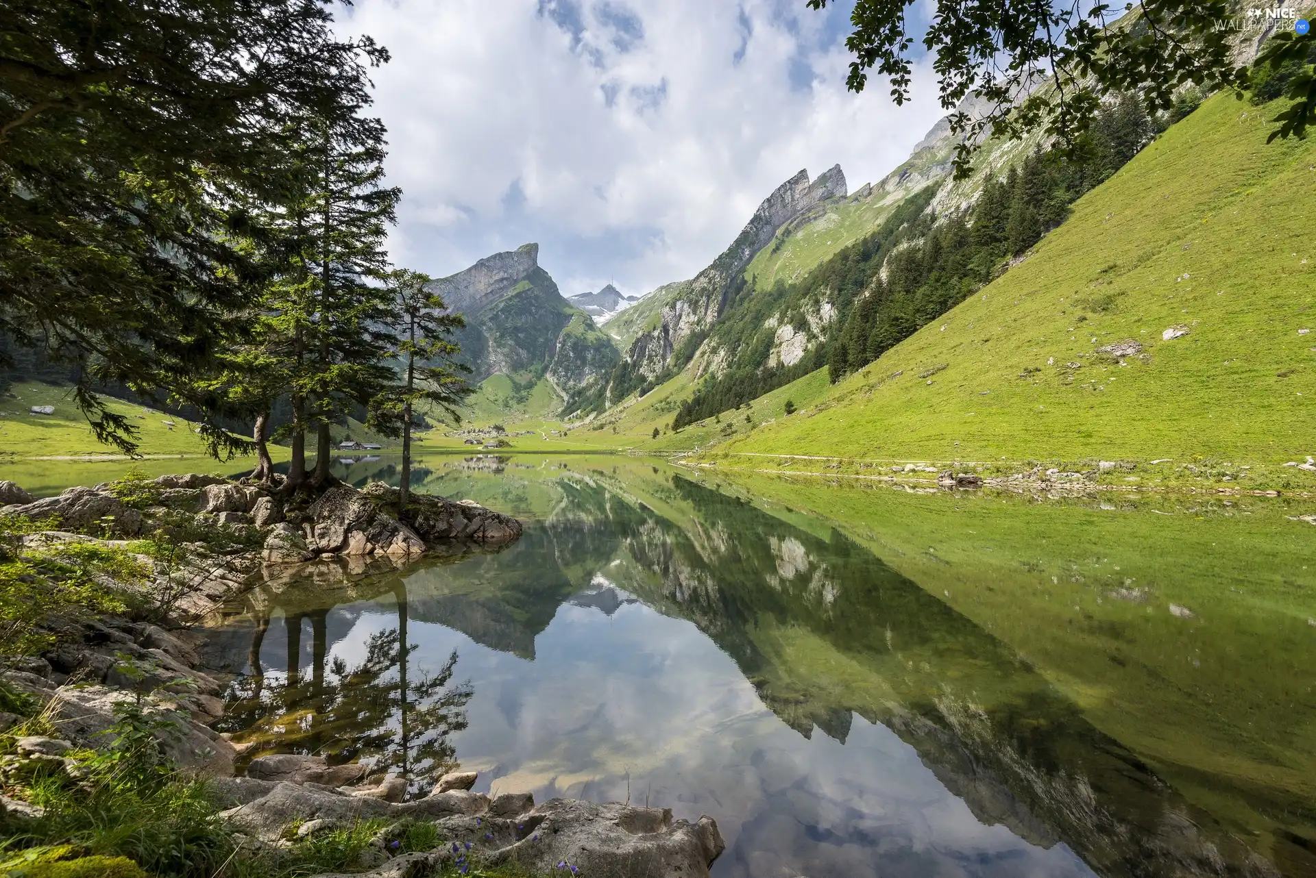 trees, viewes, Sky, River, Mountains