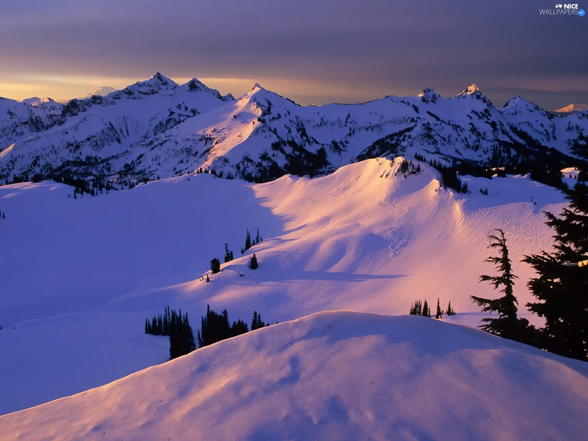 trees, viewes, Covered, snow, Mountains