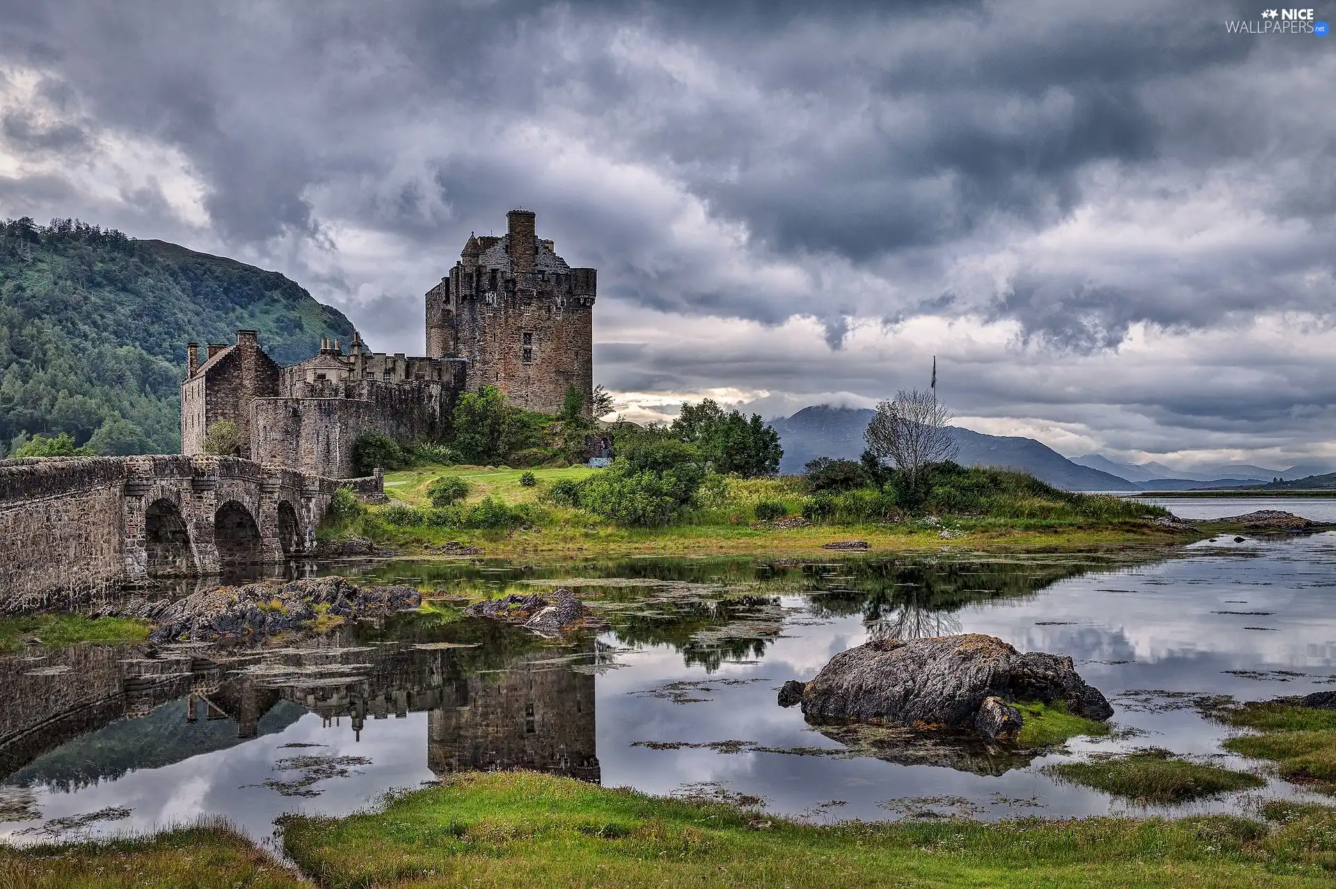 trees, viewes, Castle, River, Old car